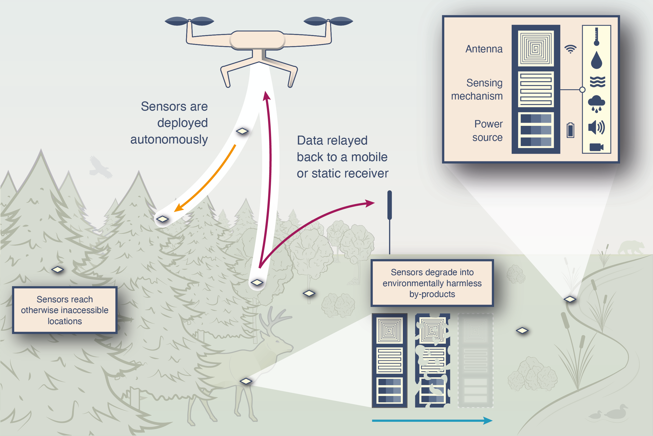 Figure from Sethi et al., 2022. Nature Ecology & Evolution. It shows how biodegradable sensors can be autonomously deployed and data can be collected remotely. These sensors degrade into environmentally harmless by-products and are composed of an ant