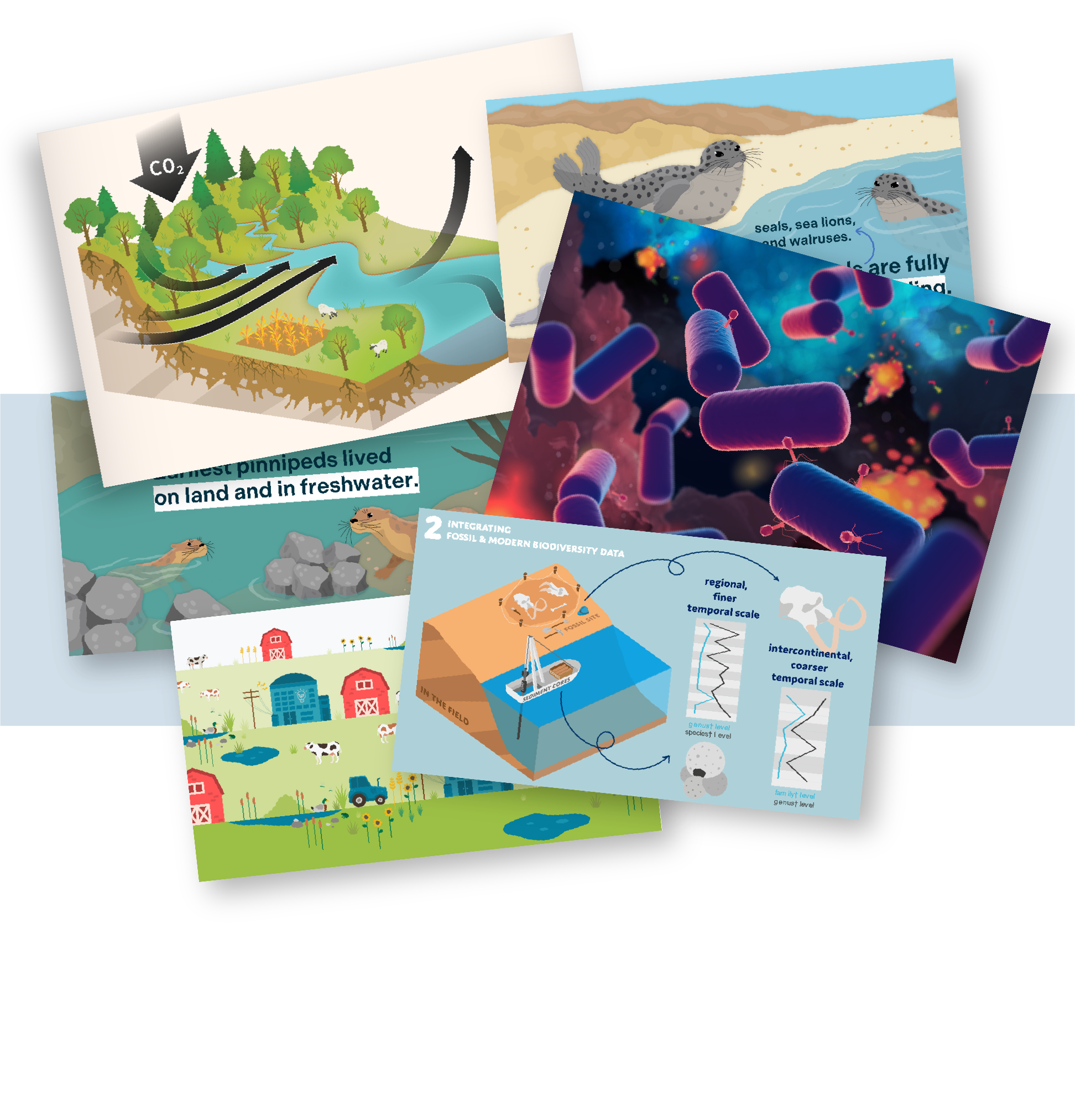 Collage of illustrations used in press releases as well as screenshots from videos we have made