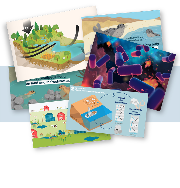 Science Graphic Design | Create Impactful Scientific Visuals Today