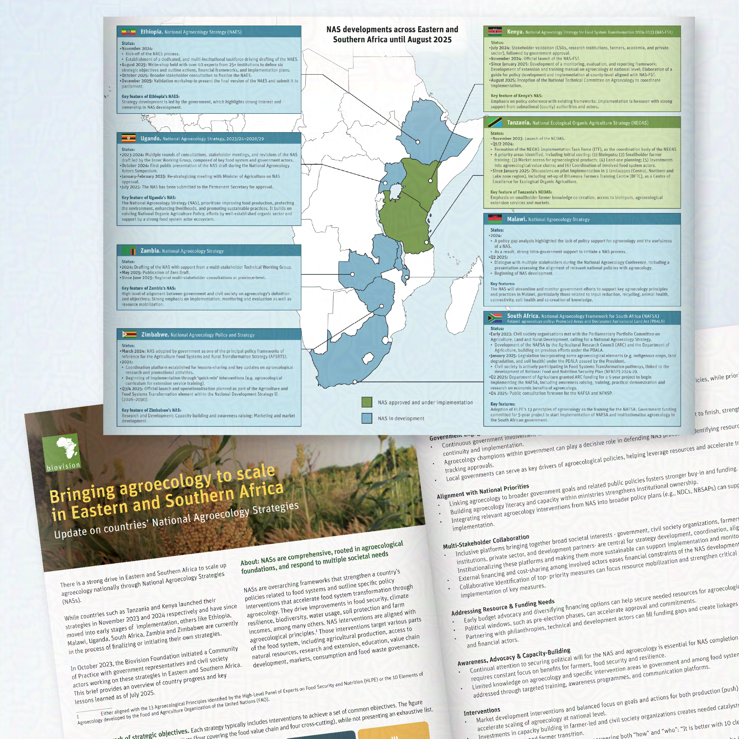 Page layout for BioVision on Agroecology. The main page features a map with informational pull-outs. 