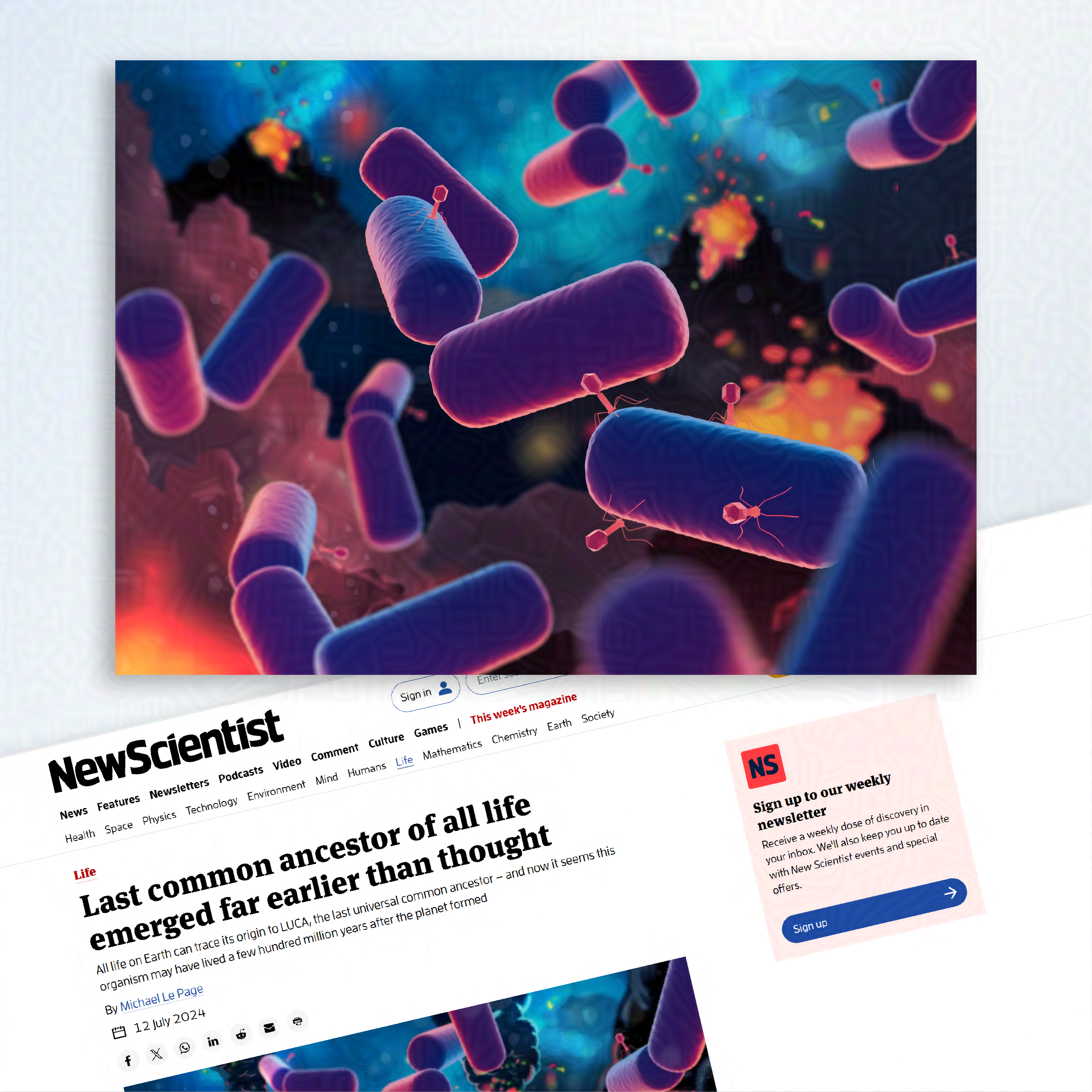 Illustration of Last Universal Common Ancestor ( LUCA) - a purple/pink cylindrical shaped cell floats in the foreground. In the background underwater volcanoes erupt. Small viruses are also floating between the cells.