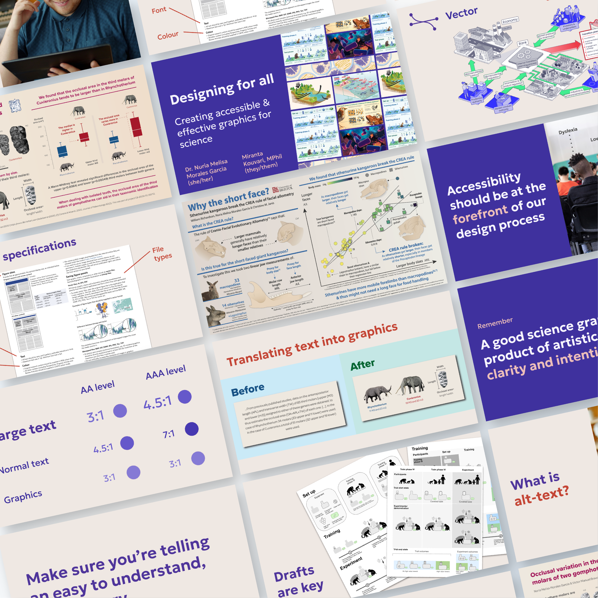 screenshots of the various slides from the workshop. Topics include how to design for accessibility, check colour contrast, using drafts, understanding alt-text etc.
