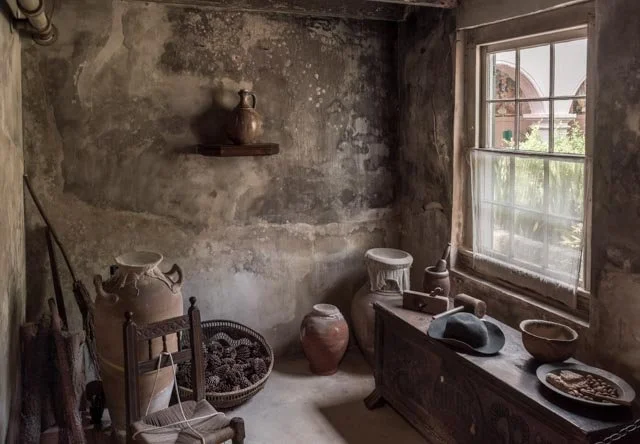 Members Show
