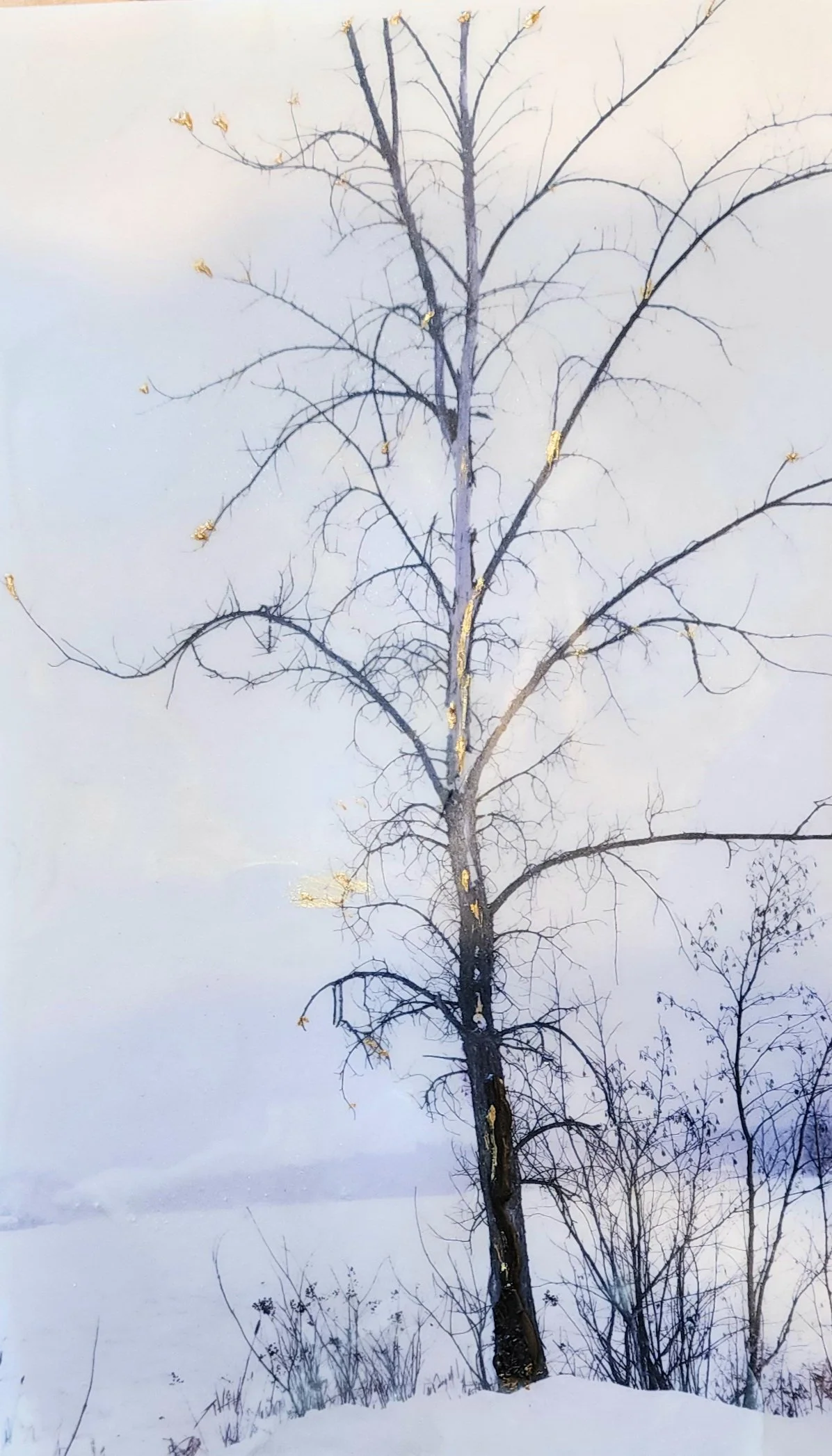 Gail Gelburd: My art seeks to engage the viewer and to see that We are the waterfall, the river, the trees; we are a part of it, and it is a reflection of us. We rise from the earth and the stream capturing but a few moments in time. We are all conne