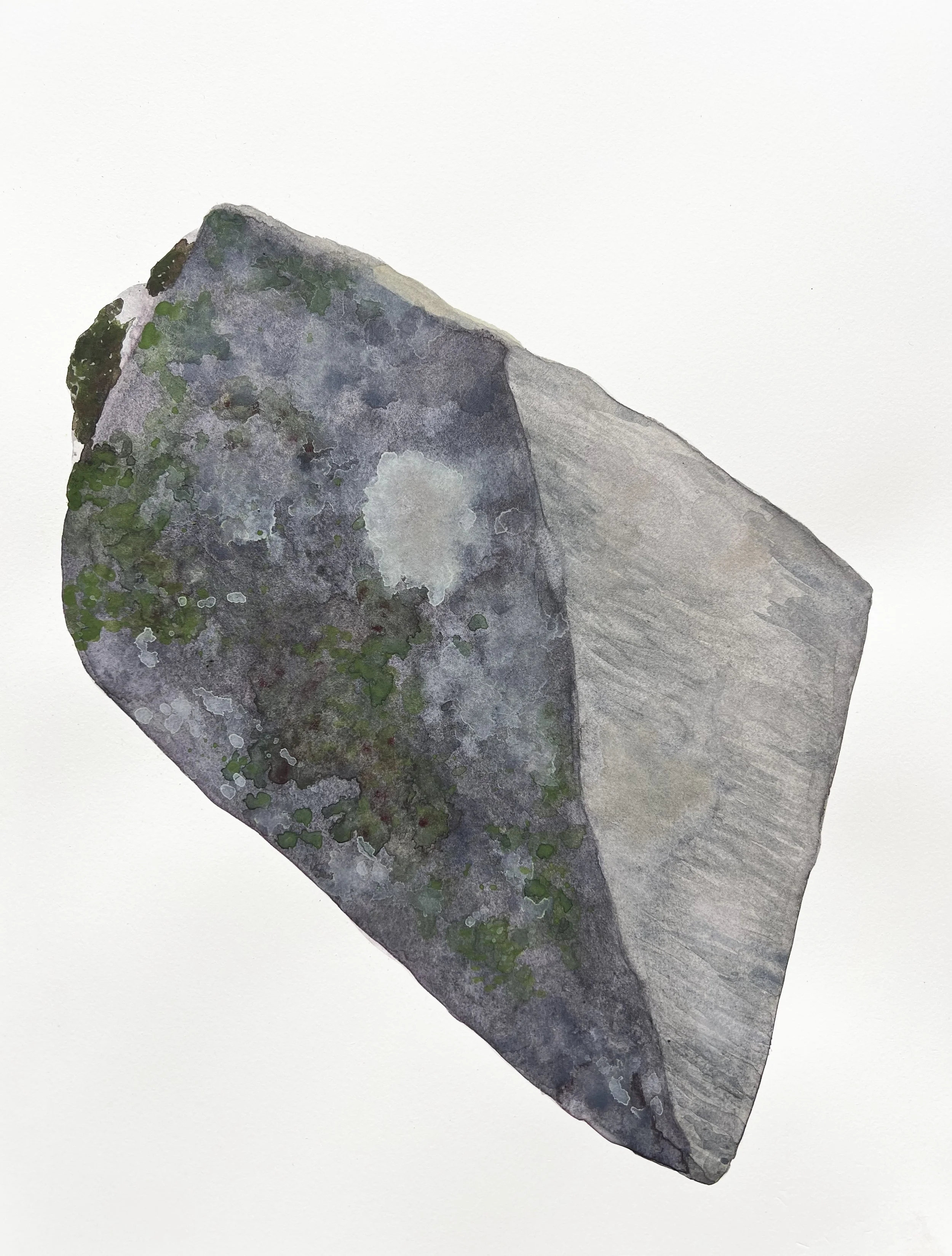 Catherine Lipsetz Dauer