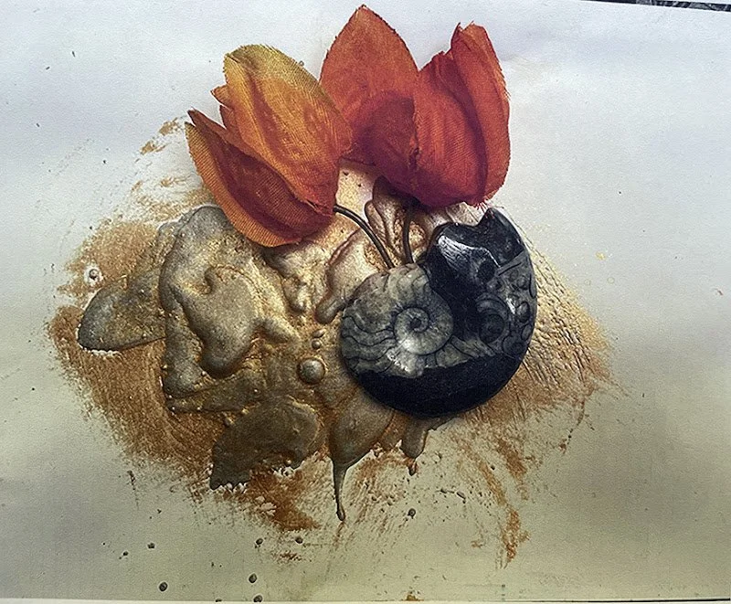 Julie Wosk, Giclee  Photographic Print on German Engraving Paper. I am a painter, photographer,  museum curator, and author of several books, and I enjoy creating images of both the artificial and  the natural world.  My photographs frequently depict