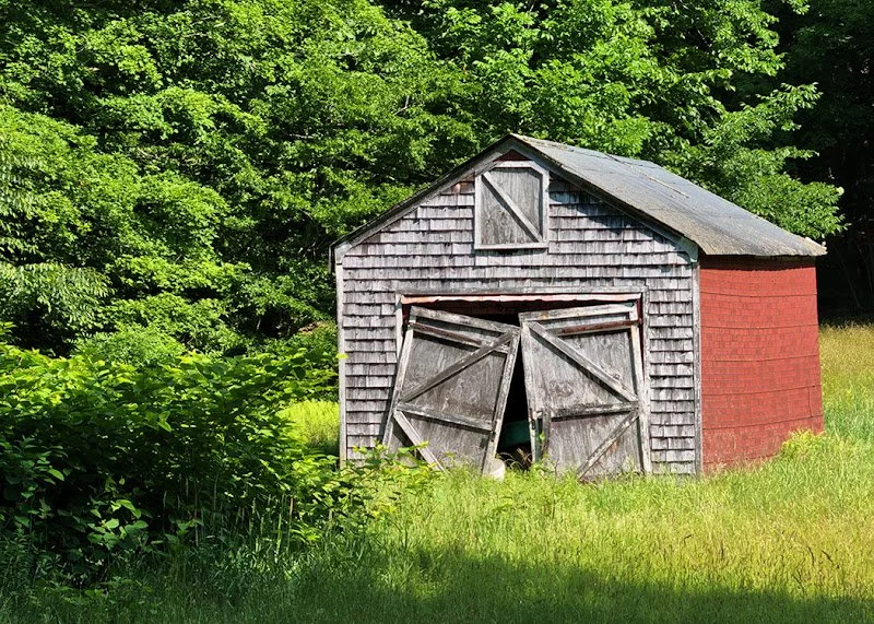 Larry Frankel, Photography