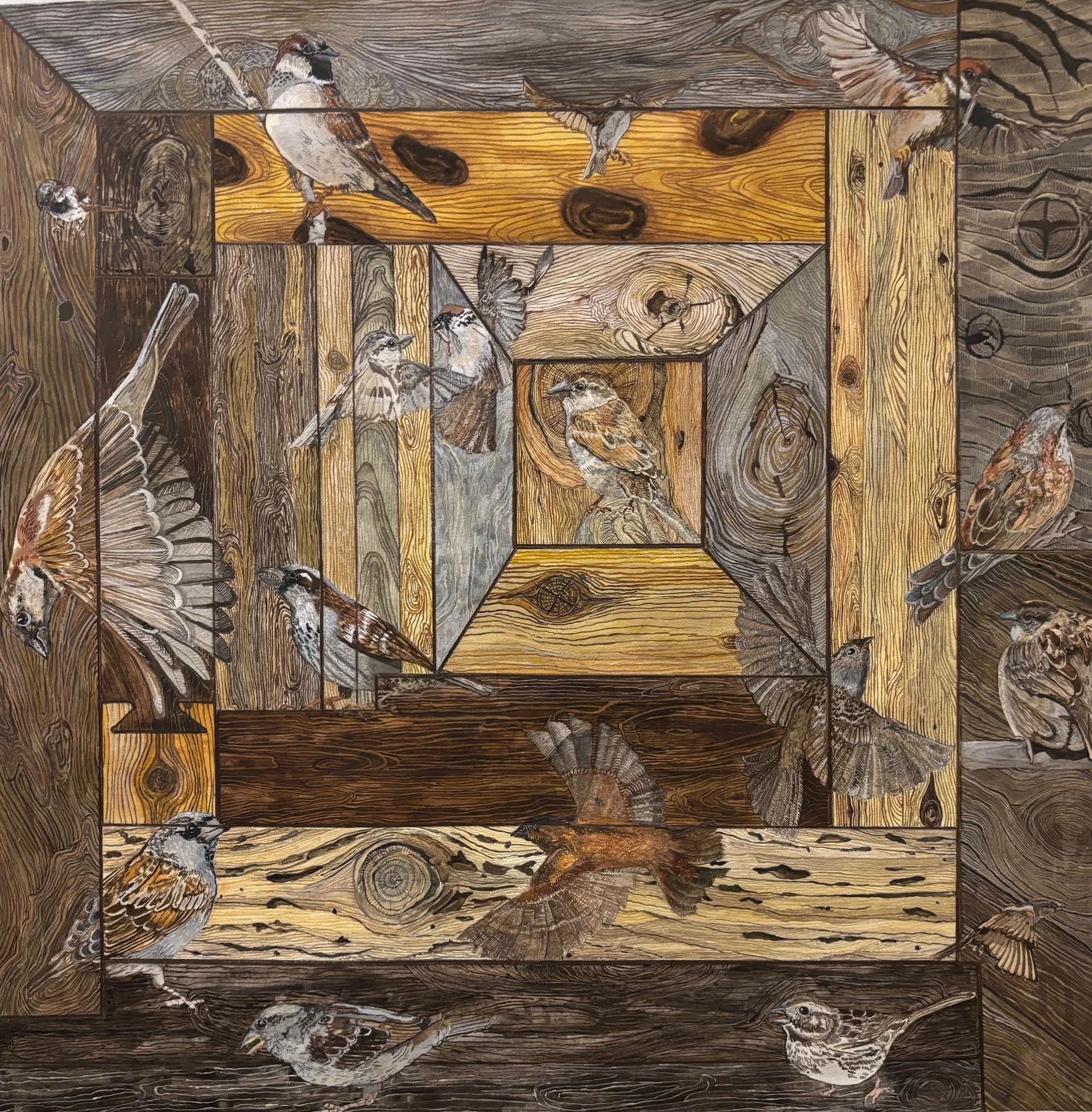 Why+Do+Sparrows+Look+Like+Wood+_.jpg