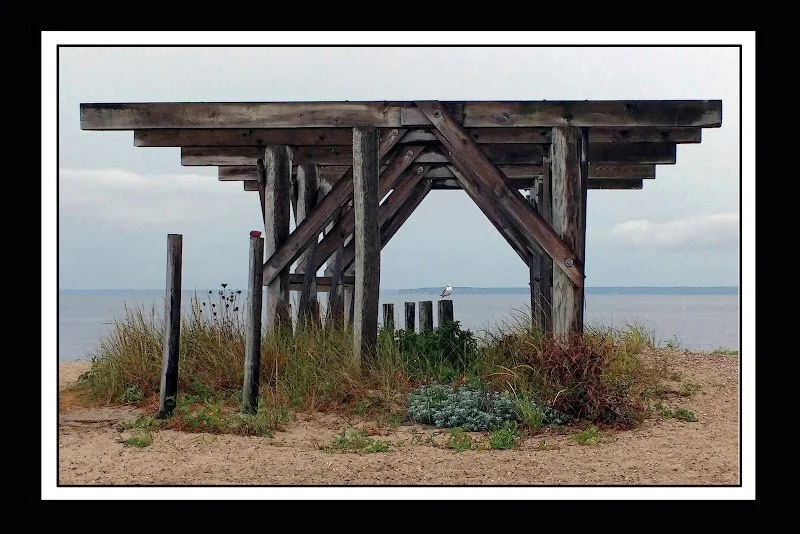 Allan Seppa, photography. 

I started being serious about photography in the late 1960's, when I bought my first 35mm SLR film camera and signed up for the comprehensive correspondence course offered by the former Famous Photographers School of Westp