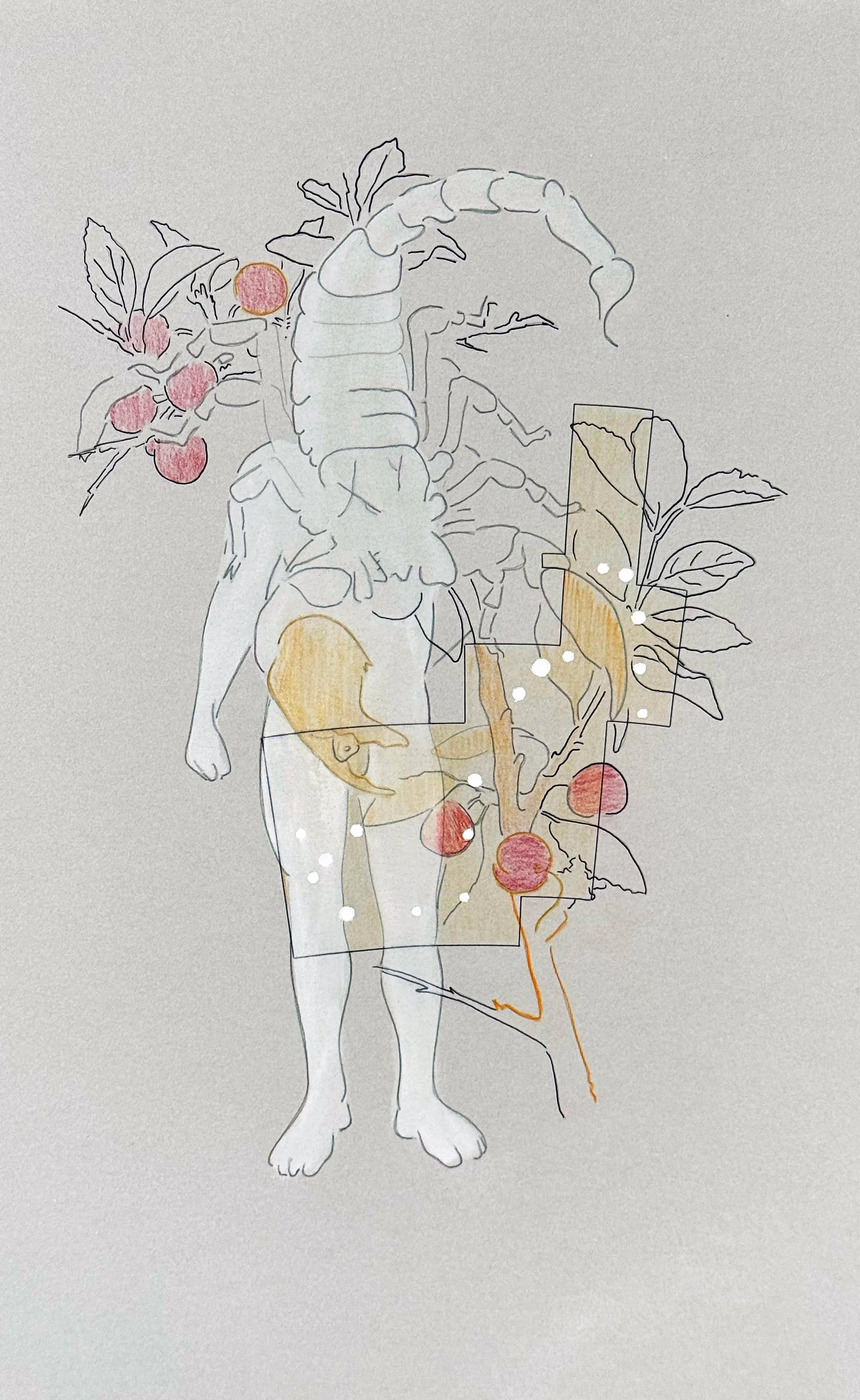 James Jasper: My work draws from literature, symbolism, and systems of meaning that accumulate over time. I am particularly interested in how myth, science, and cultural narratives overlap—how images can carry multiple, sometimes contradictory, histo