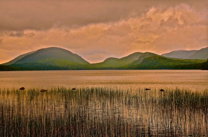Lynne M. Anstett Photography - I aim to share what I see by chance or by design, that is beautiful to me. The camera allows me to do that.