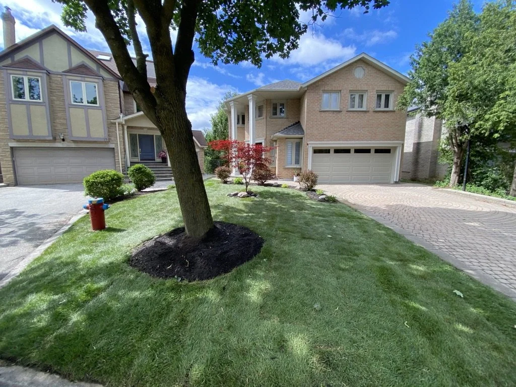 Sod Richmond Hill - Vaughan landscaping - King City landscape company