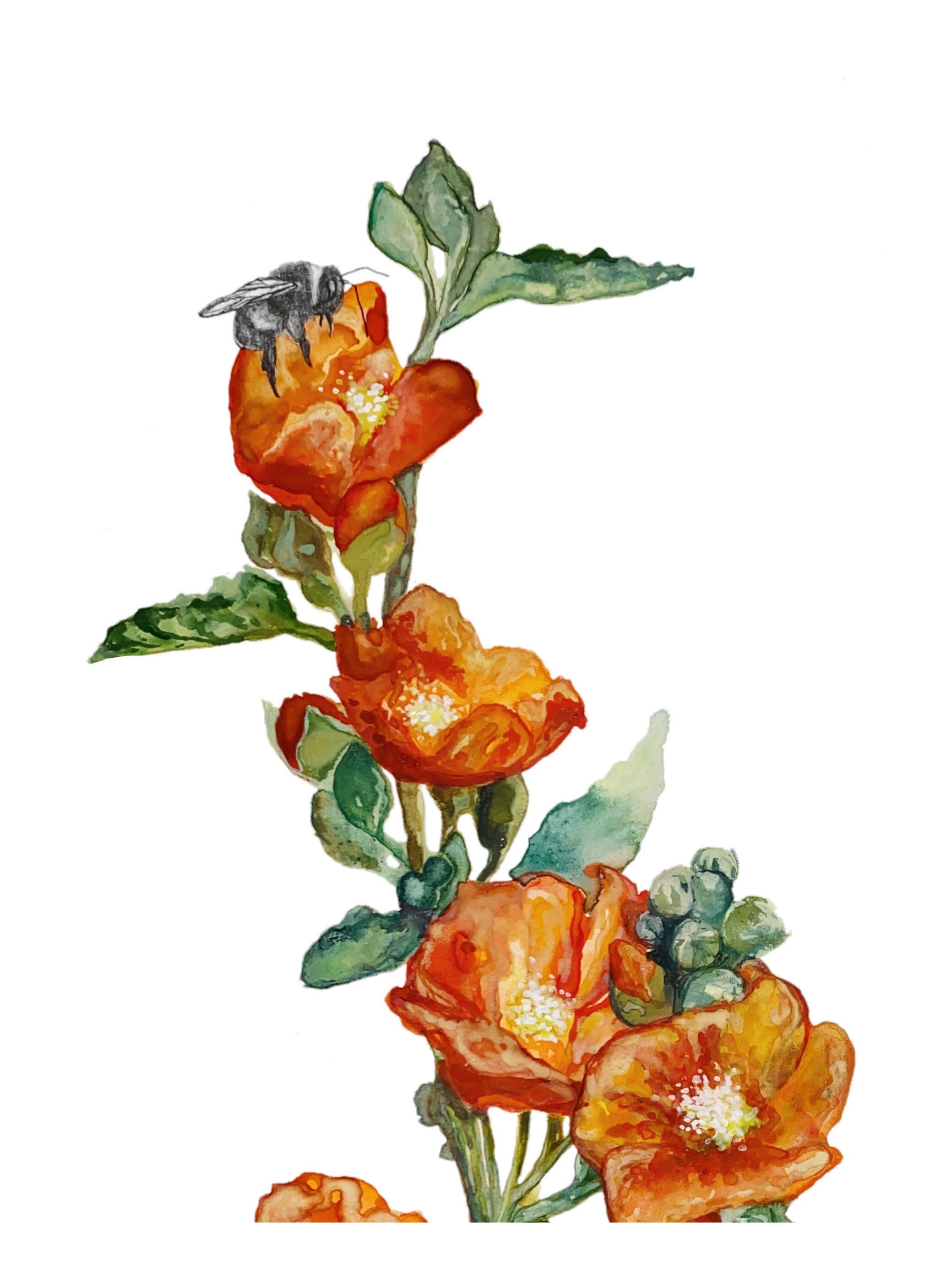 desert flower watercolor art