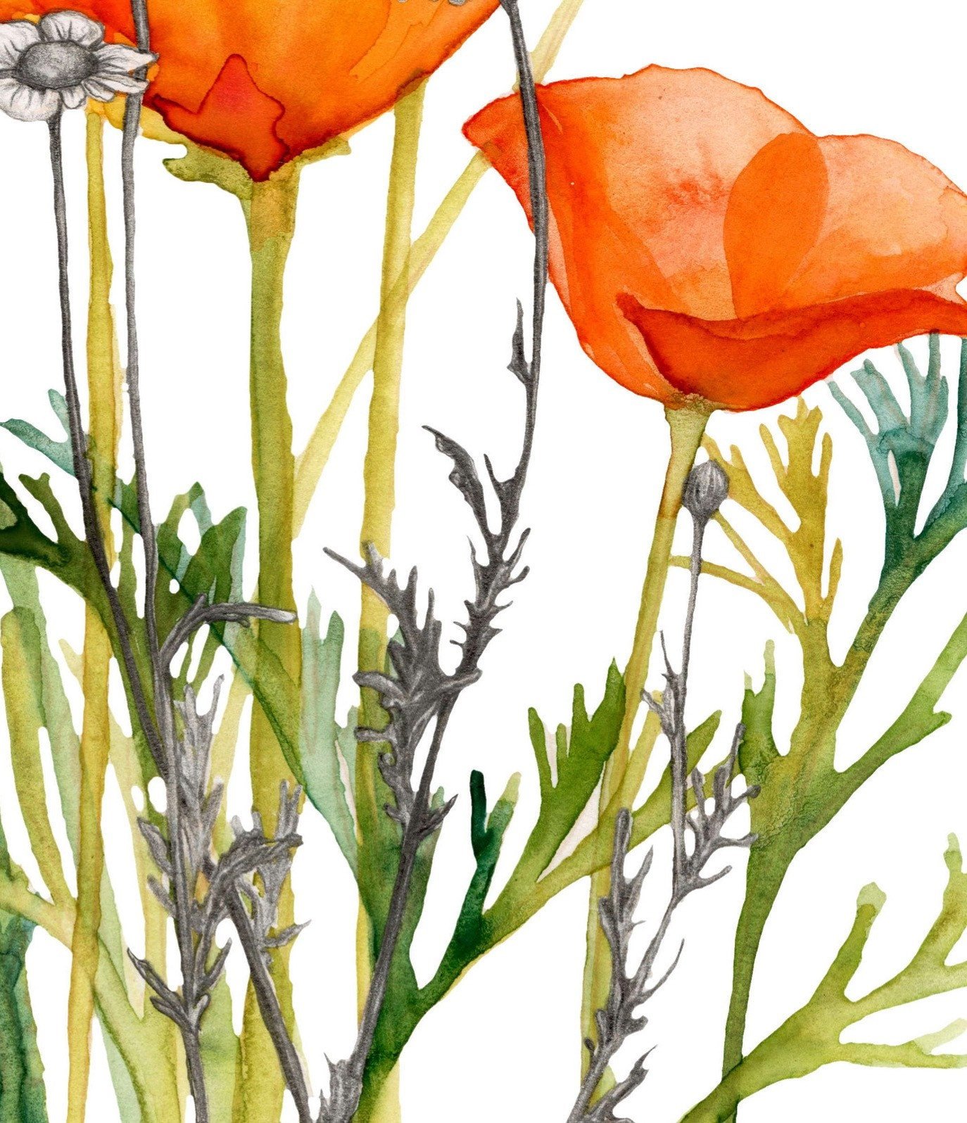 detailed view of watercolor orange flower decal