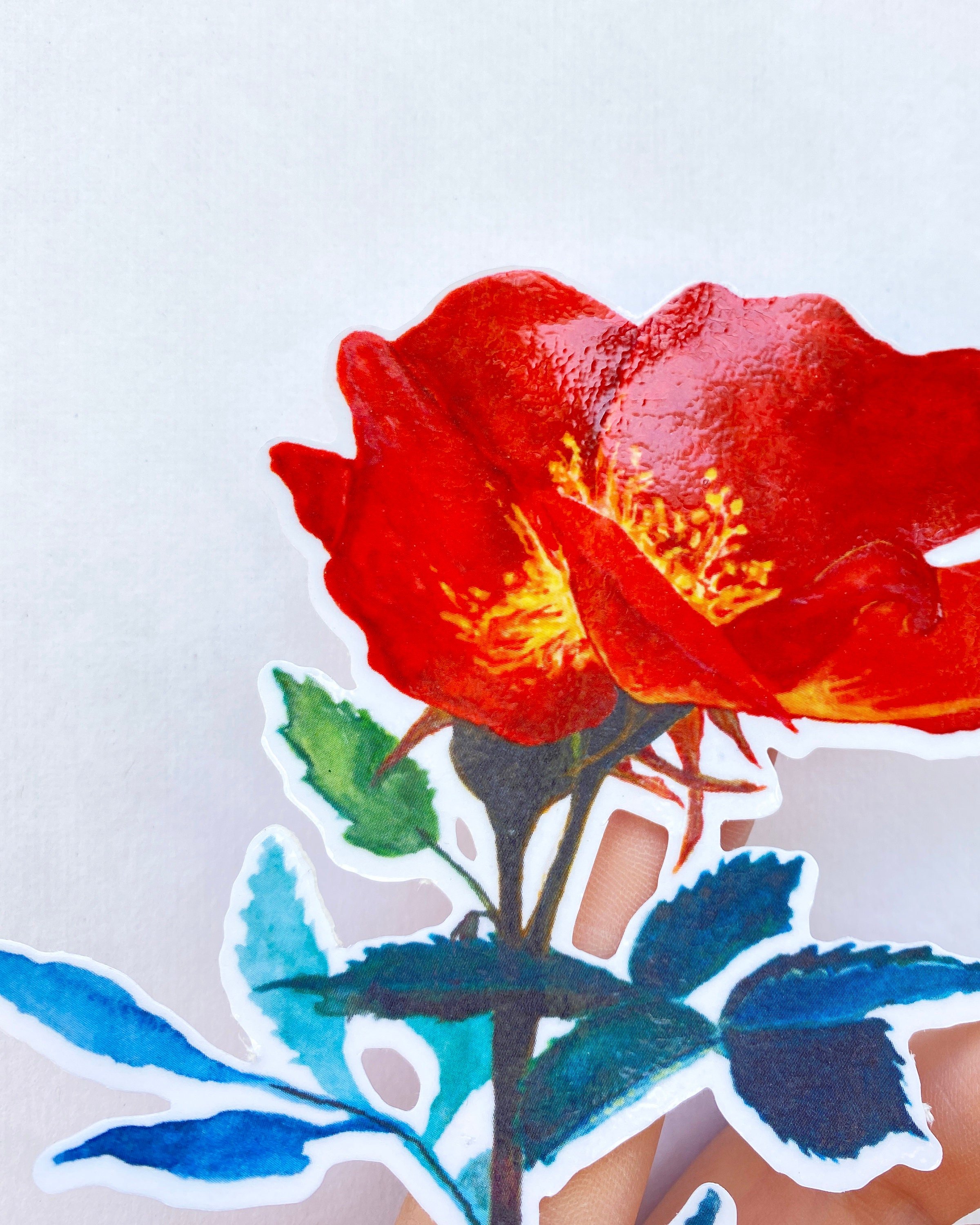 detailed shot of watercolor flower sticker