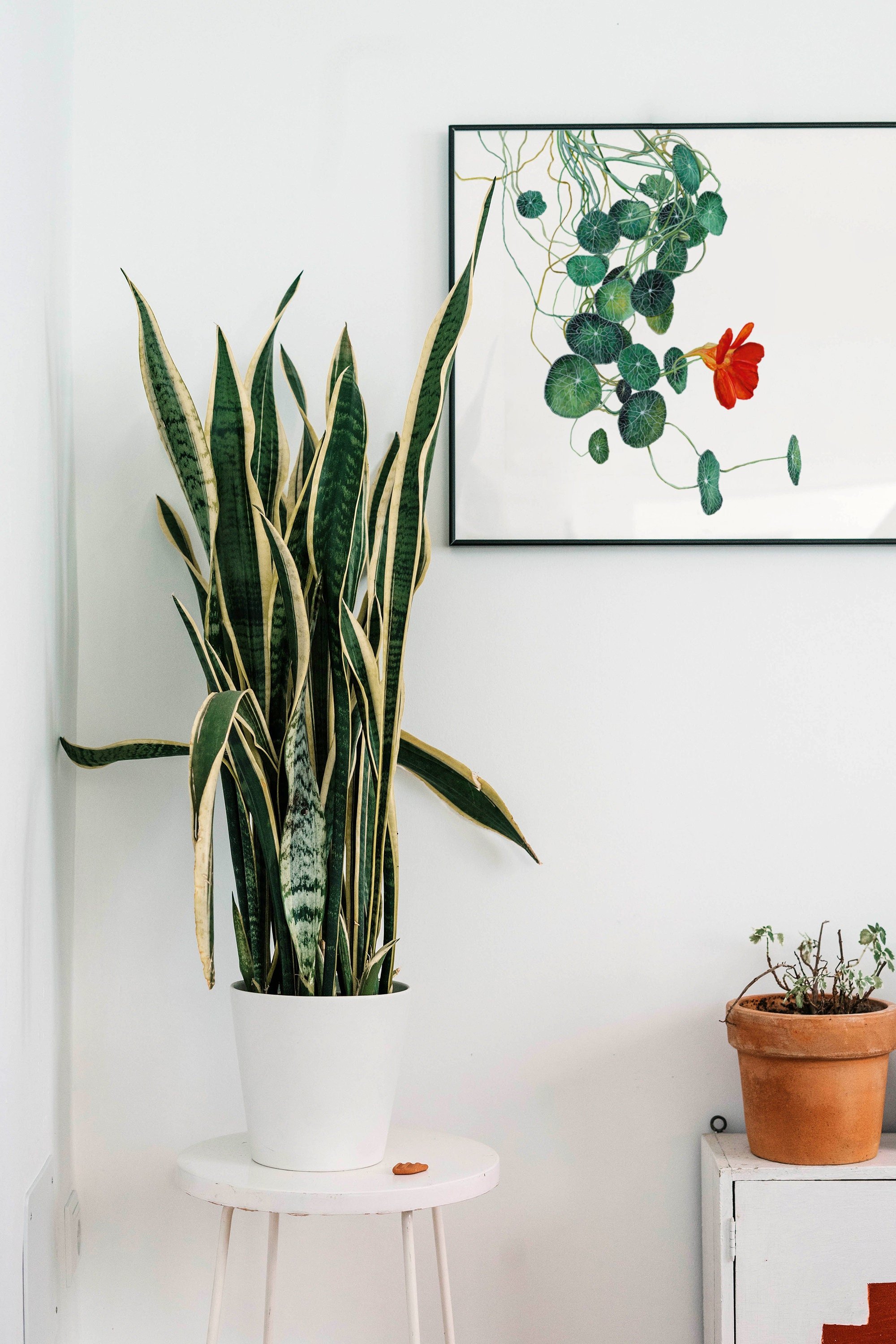https://i.etsystatic.com/21783035/r/il/fa1ab7/2402447536/il_fullxfull.2402447536_ayc5.jpg