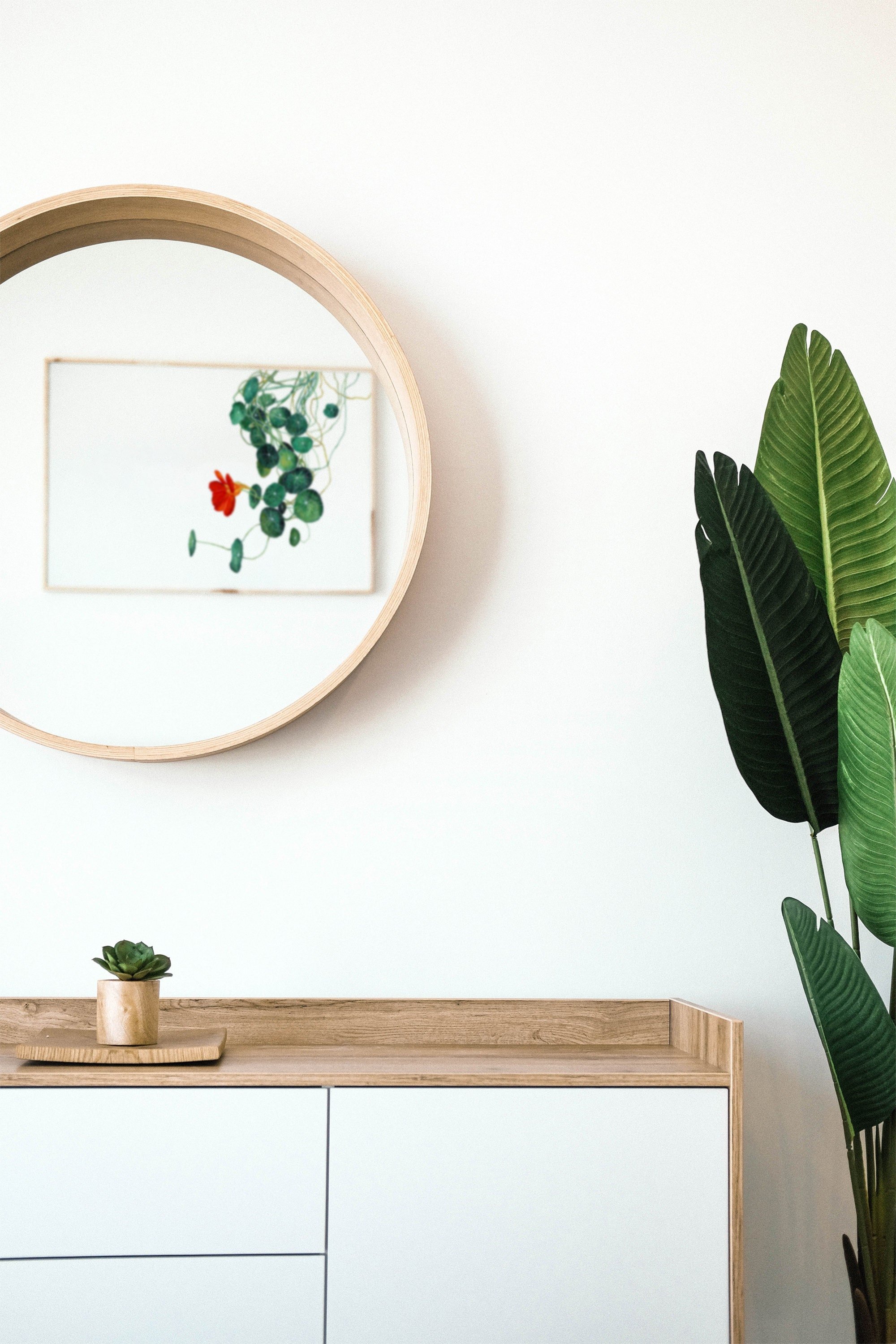 https://i.etsystatic.com/21783035/r/il/d73abc/2450078285/il_fullxfull.2450078285_k6uk.jpg