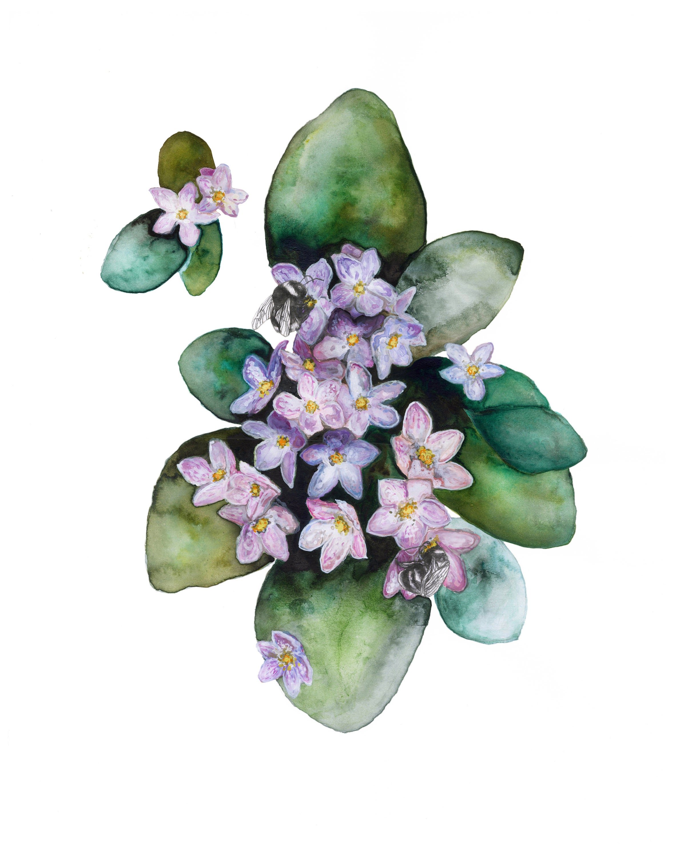 abstract purple wildflower watercolor painting