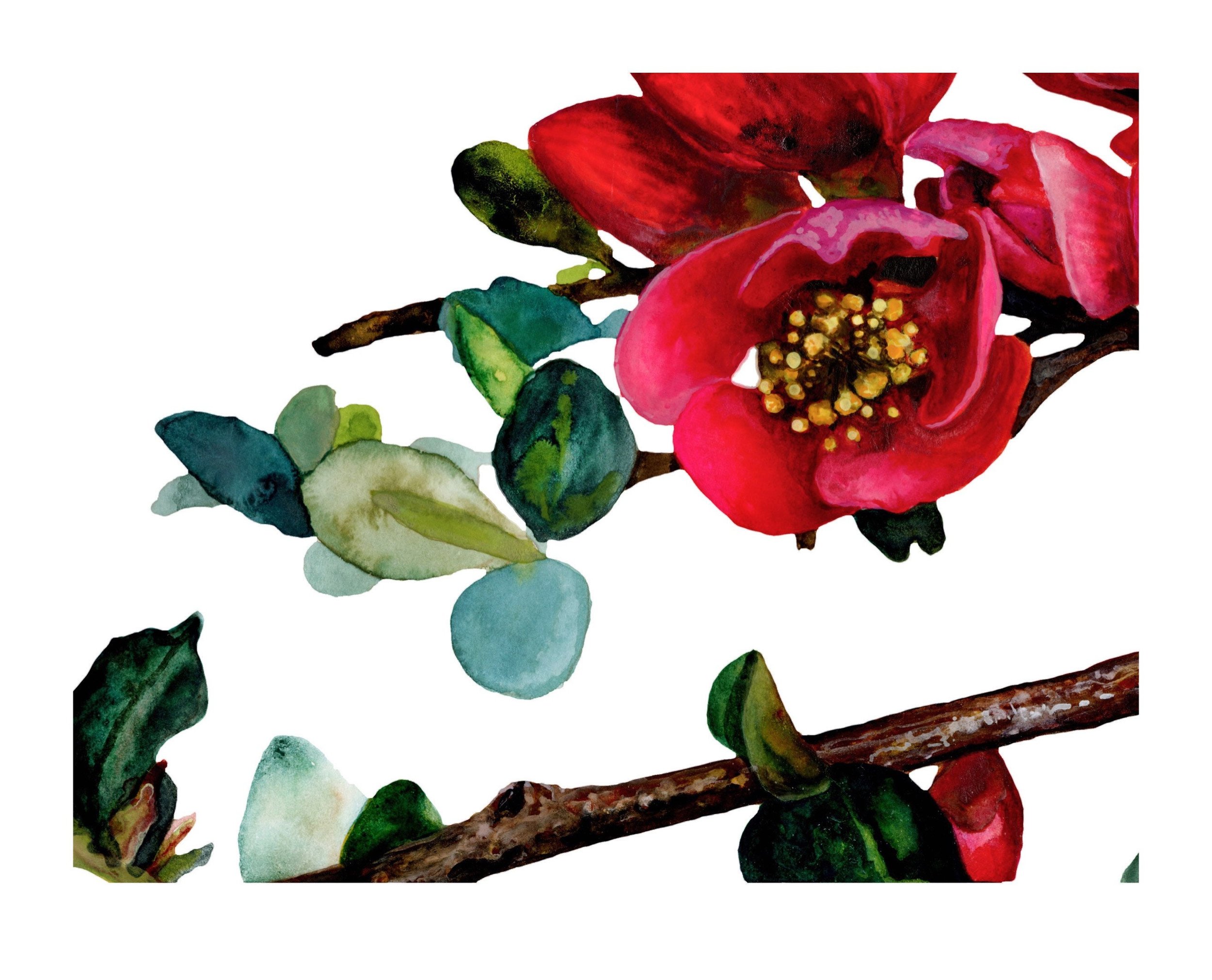 home floral artwork print of watercolor red flowers