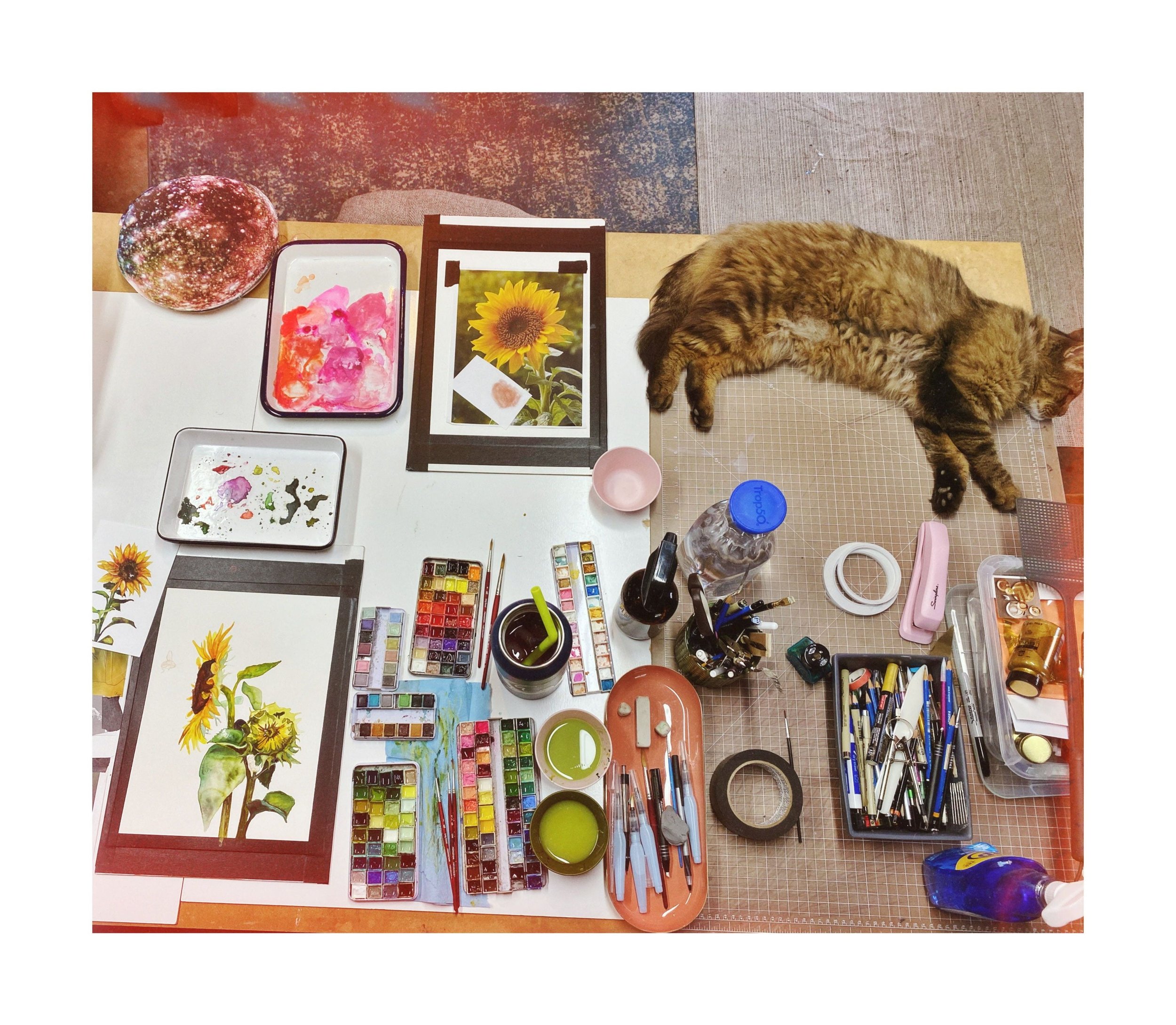art studio with watercolor sunflower painting and a cat in the studio
