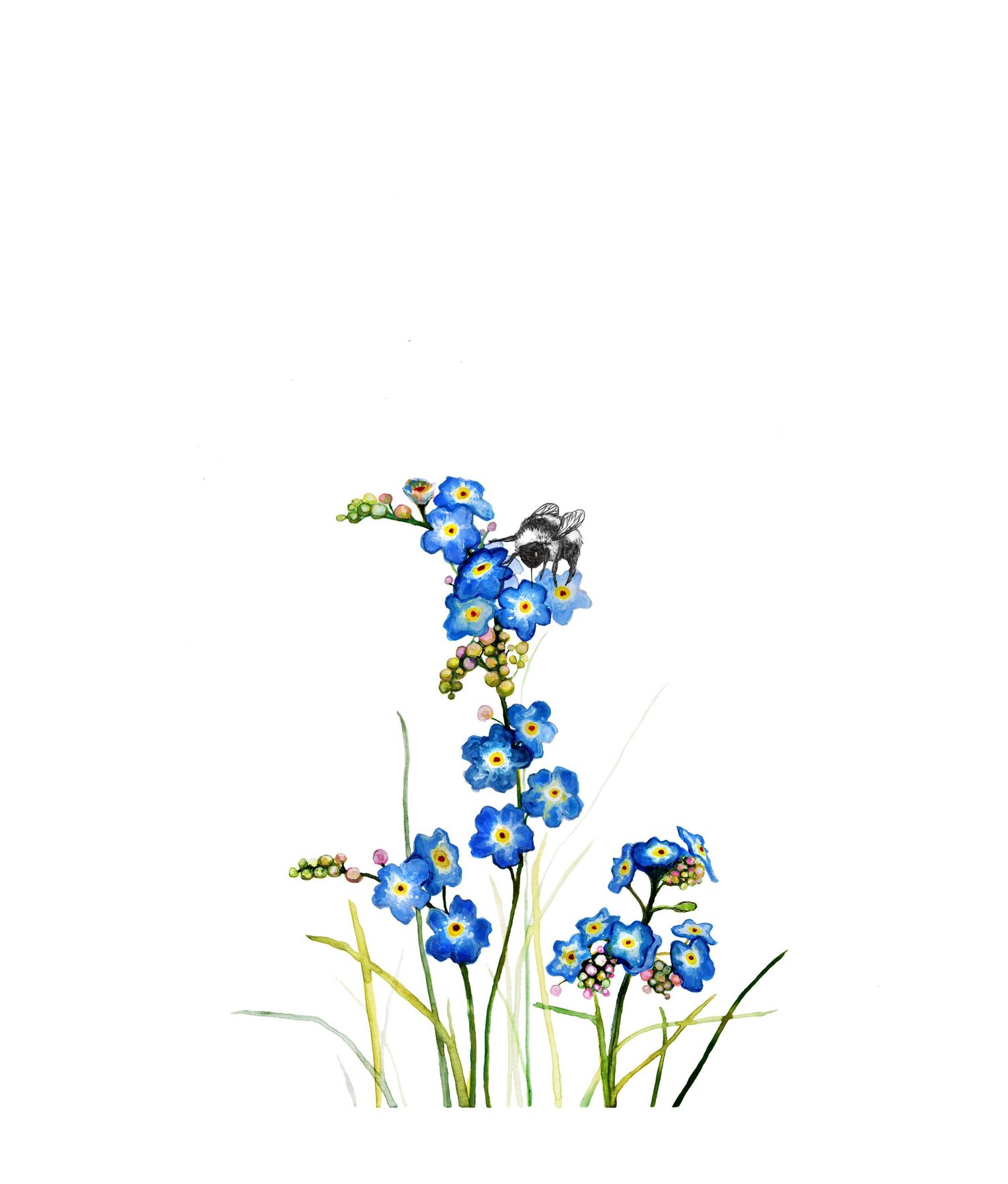 Forget-Me-Not Waterproof Sticker – Botanical Bright - Add a Little Beauty  to Your Everyday