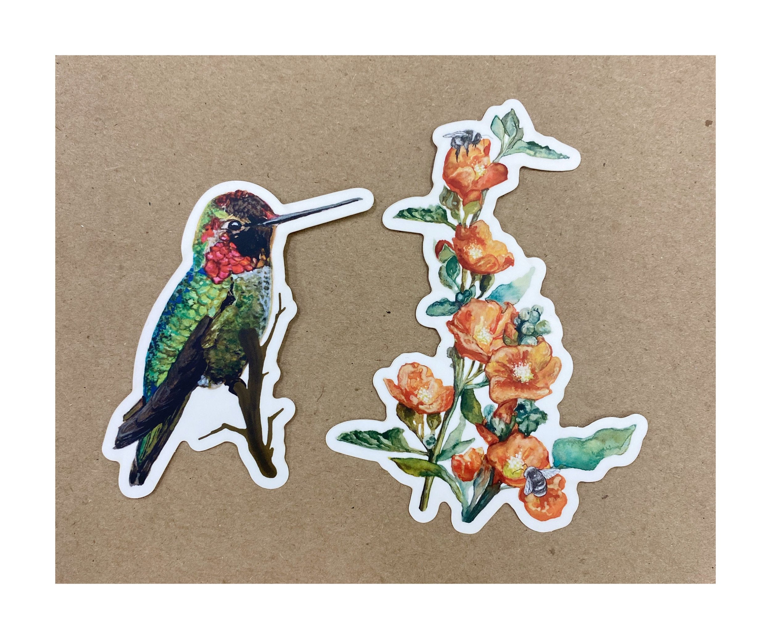 globe mallow floral watercolor decal