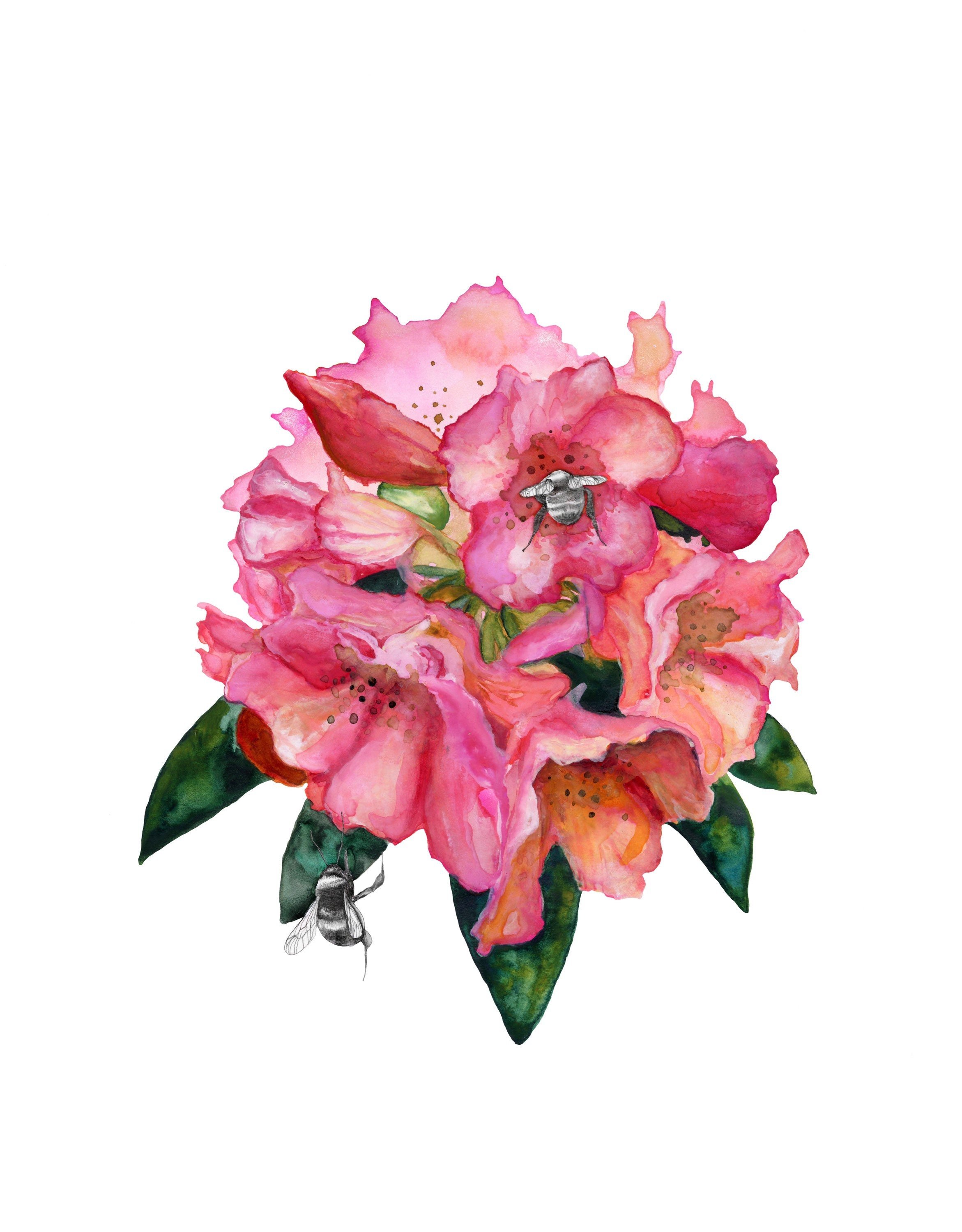 https://i.etsystatic.com/21783035/r/il/8c74fc/2439666188/il_fullxfull.2439666188_rskh.jpg