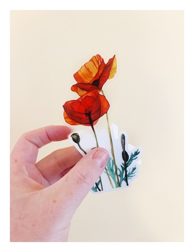https://i.etsystatic.com/21783035/r/il/43a9b3/4417110650/il_fullxfull.4417110650_eenr.jpg