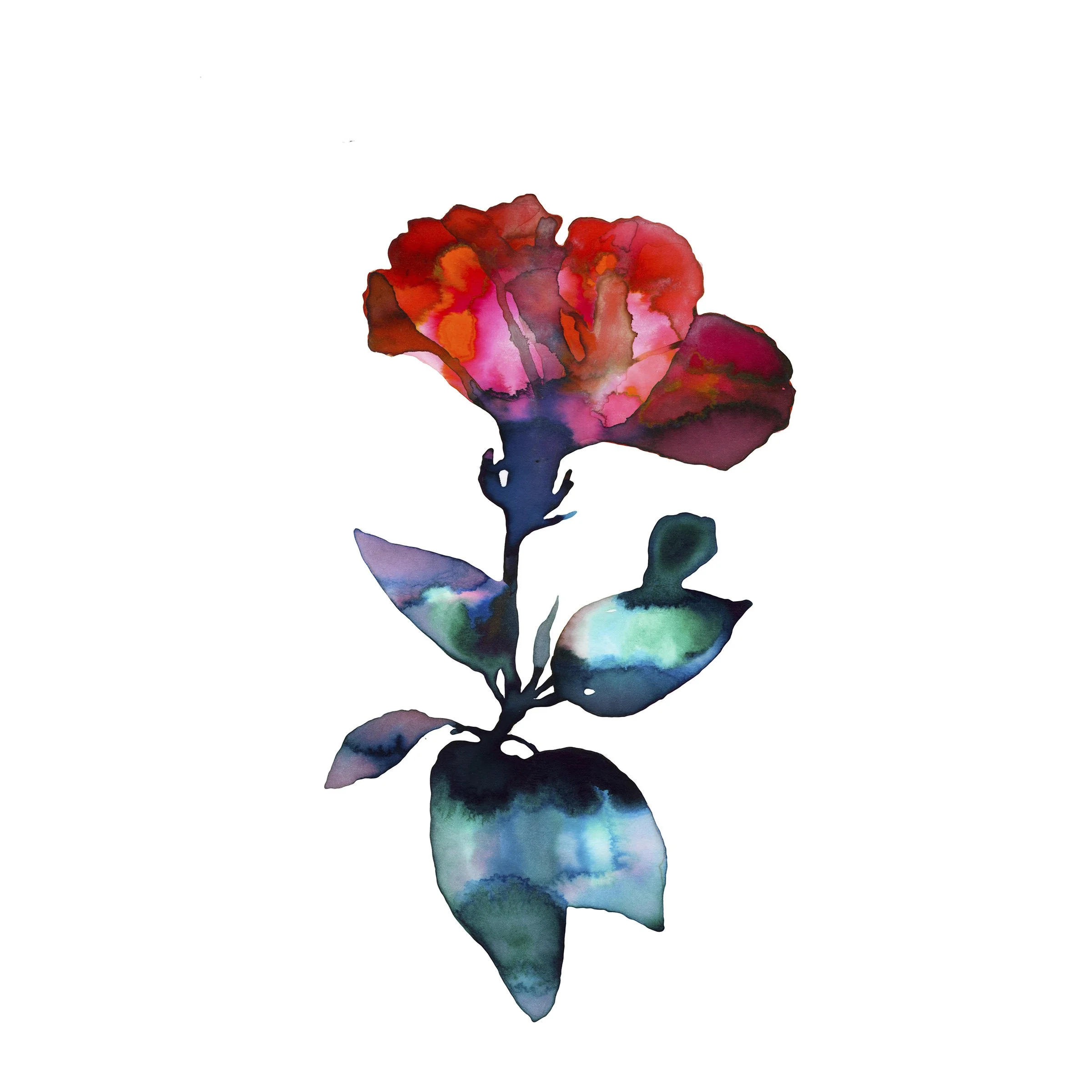 Study of a Bloom No. 6