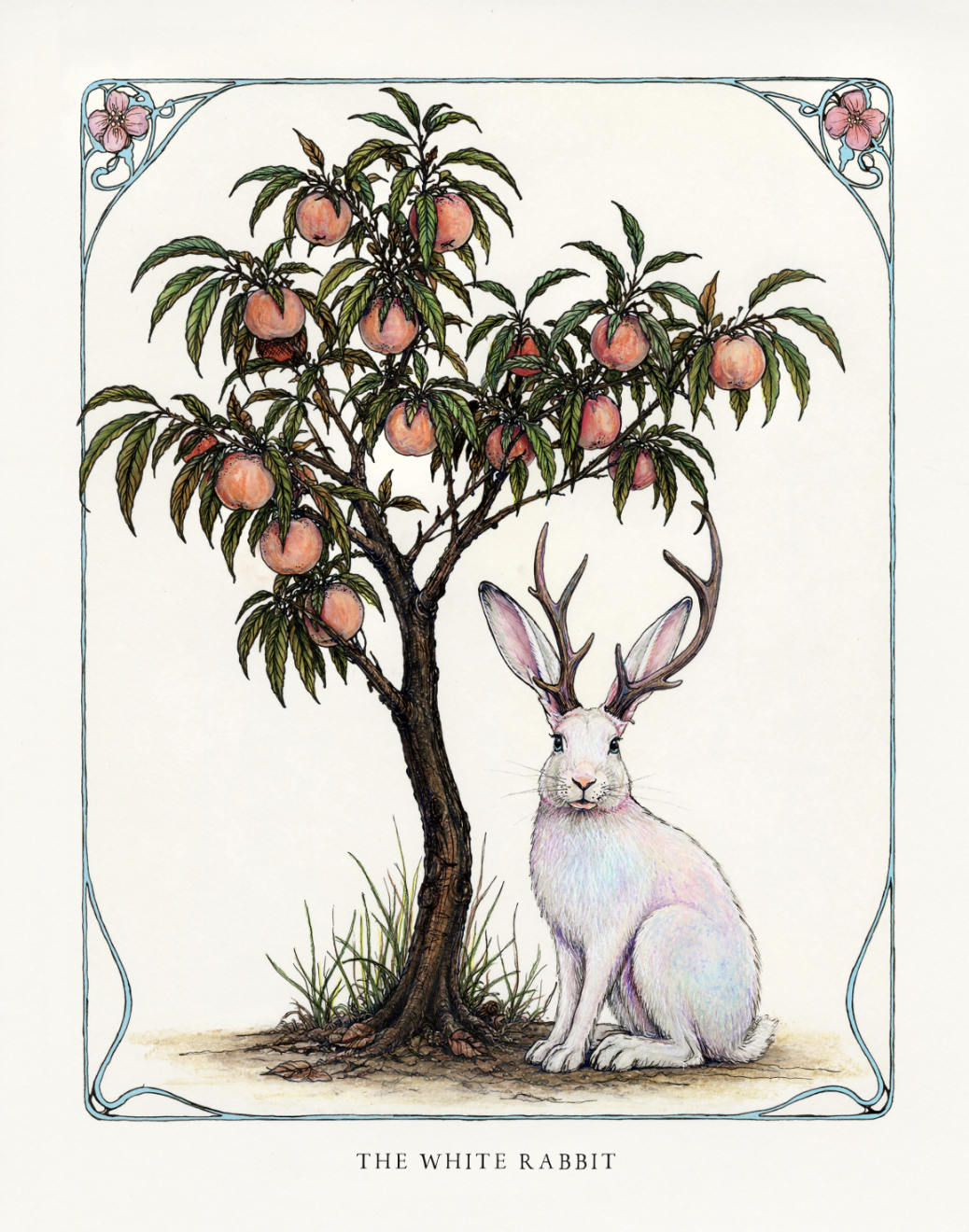 IMG_6749.PNG (Copy)