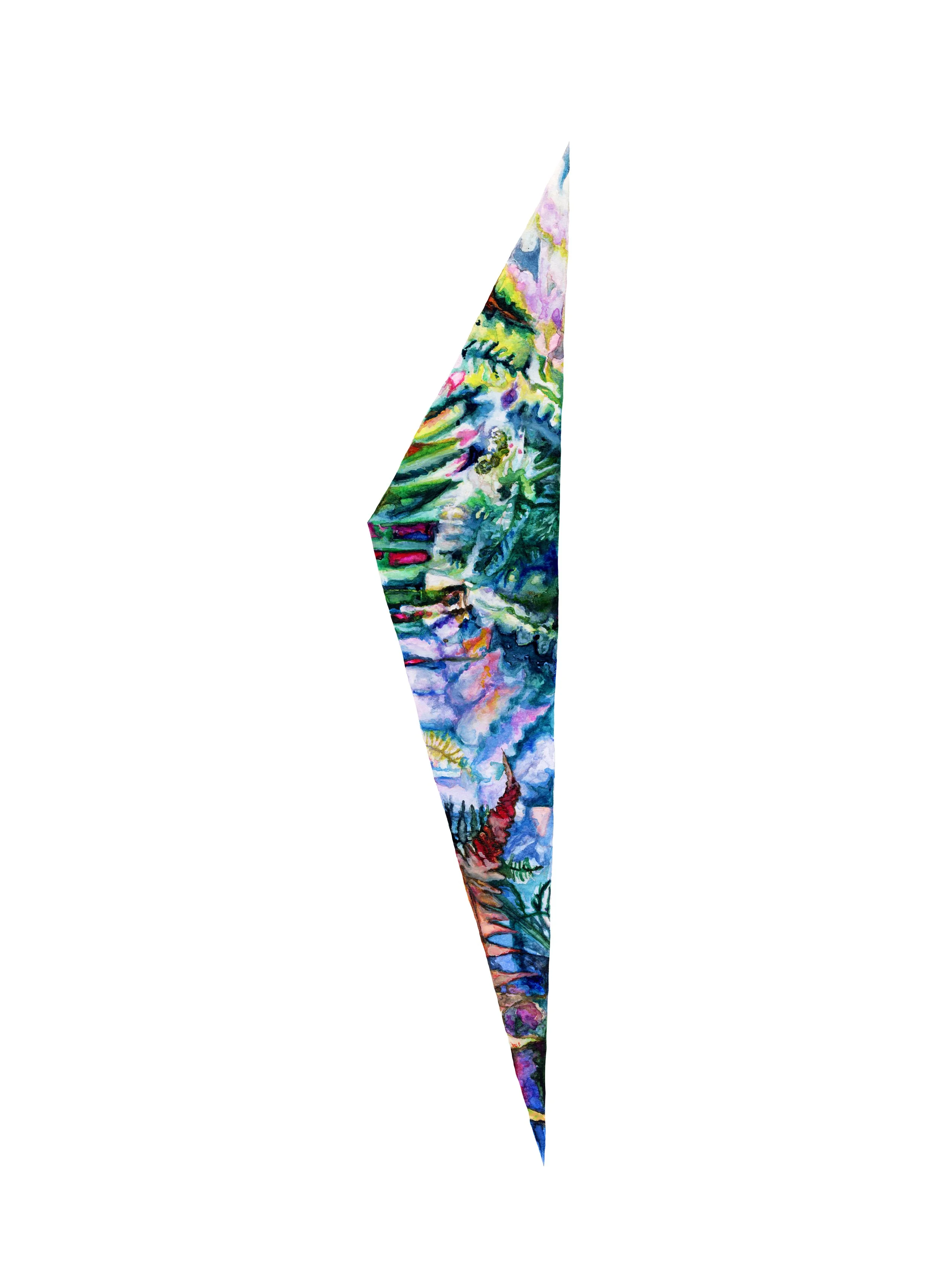 Tropical geometry