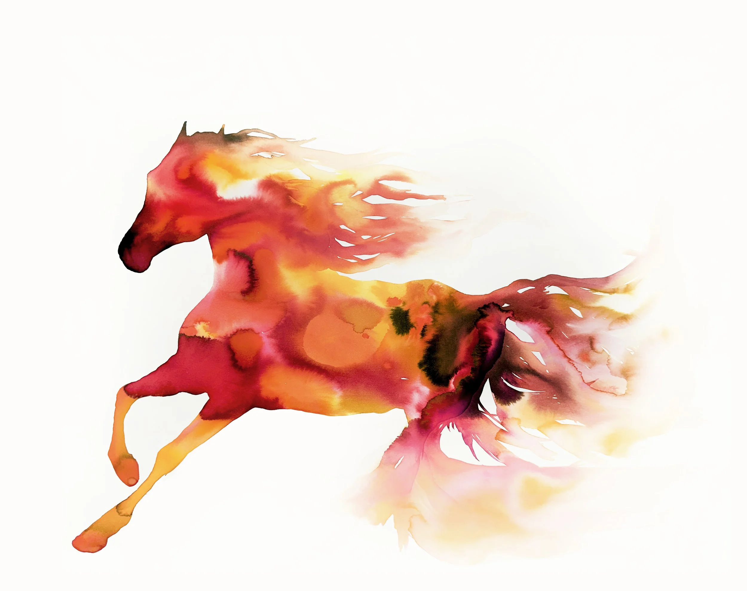 The Fire Horse Rises