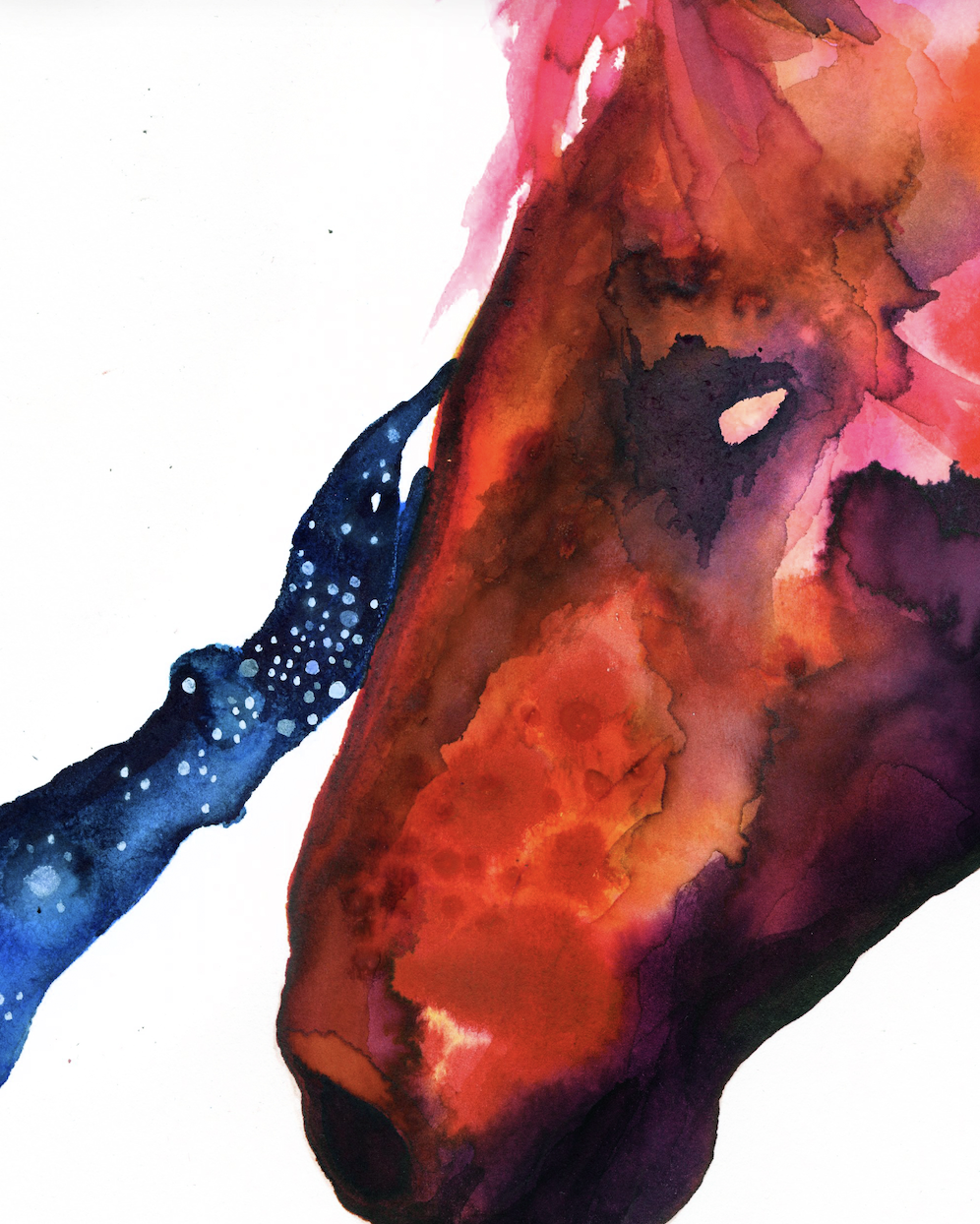 Screenshot 2026-03-06 at 9.15.25 AM.png