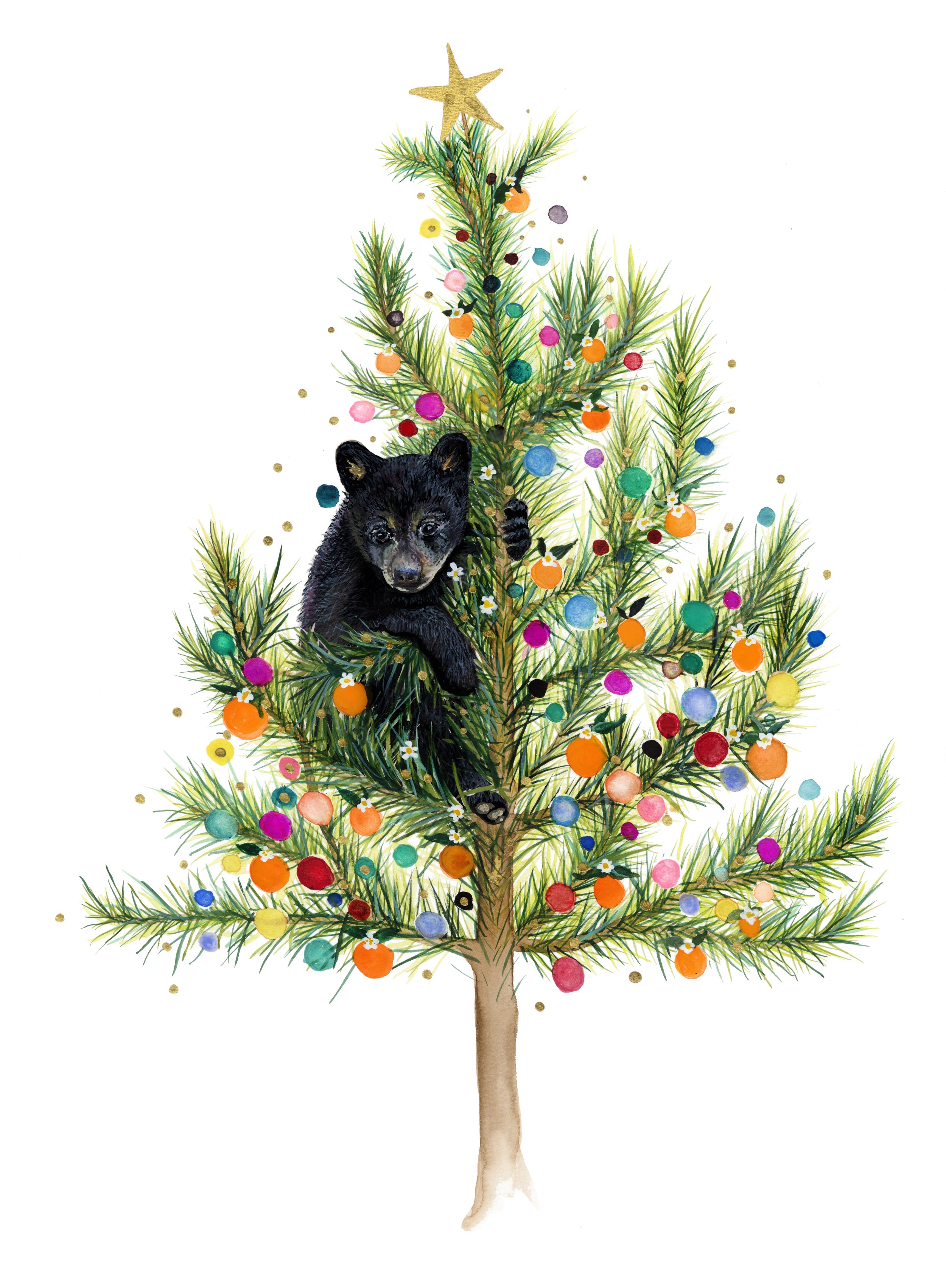 Bear with white.jpg