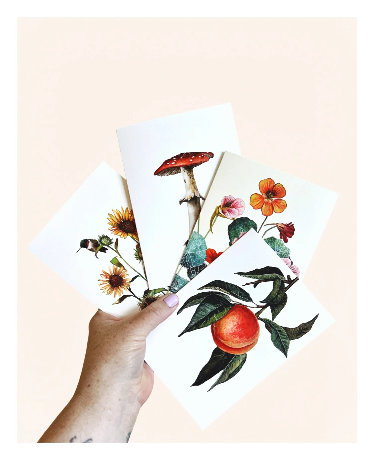 AfterlightImage 13.JPG