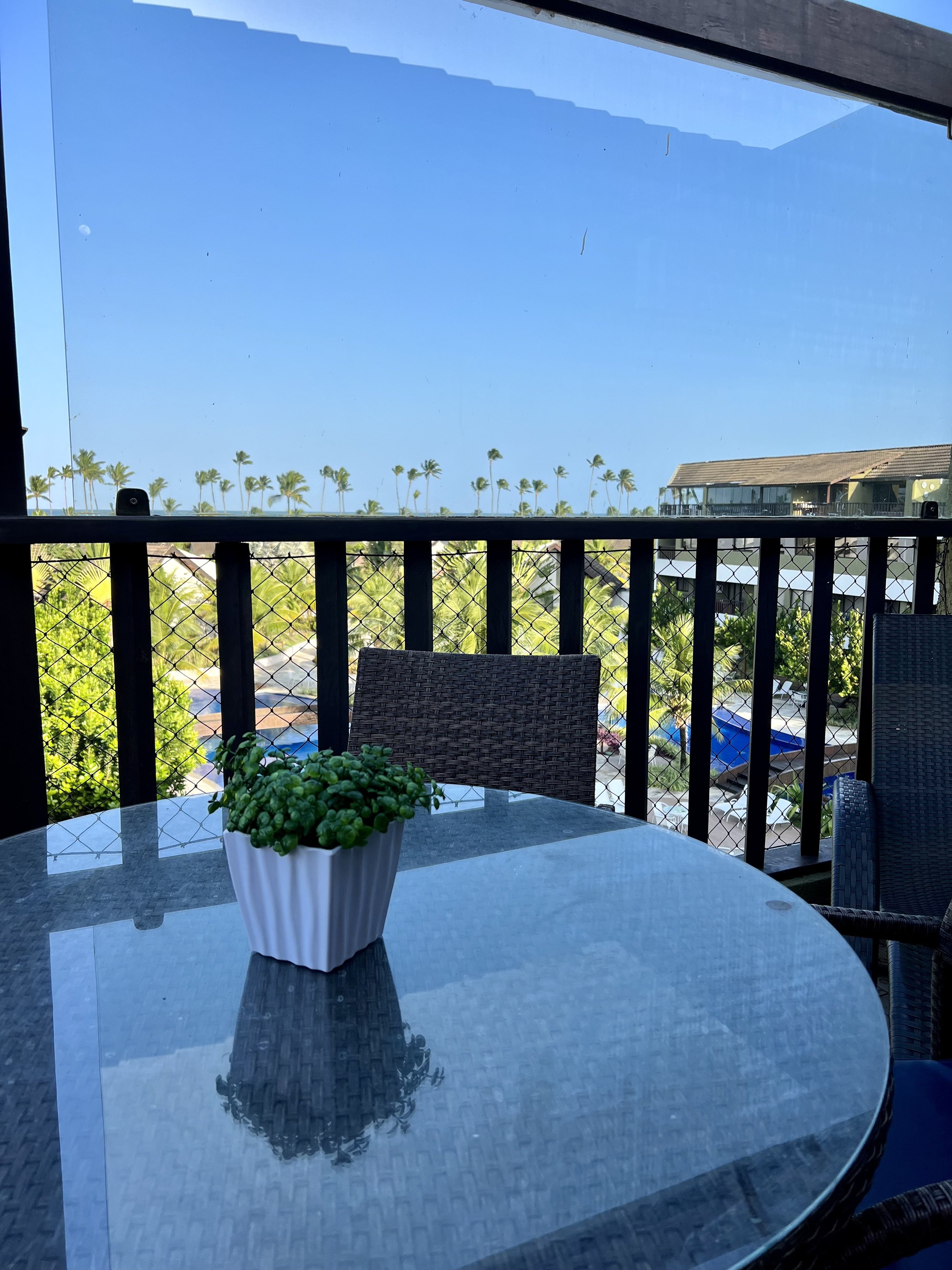 IMG_5284.jpeg