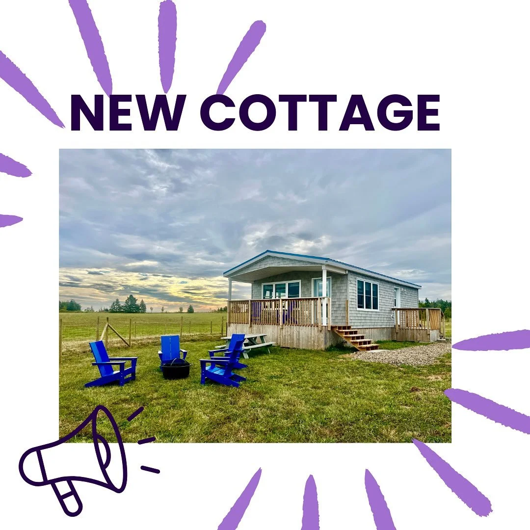 Our big news is here&hellip;. 🥁🥁

We have a new rental available!! Element of Air Cottage. Sleeps 4 guests, with one bedroom and a full kitchen and bathroom! 

Available starting October 1, 2025

Book now on our website ravensrestretreat.com 

Than