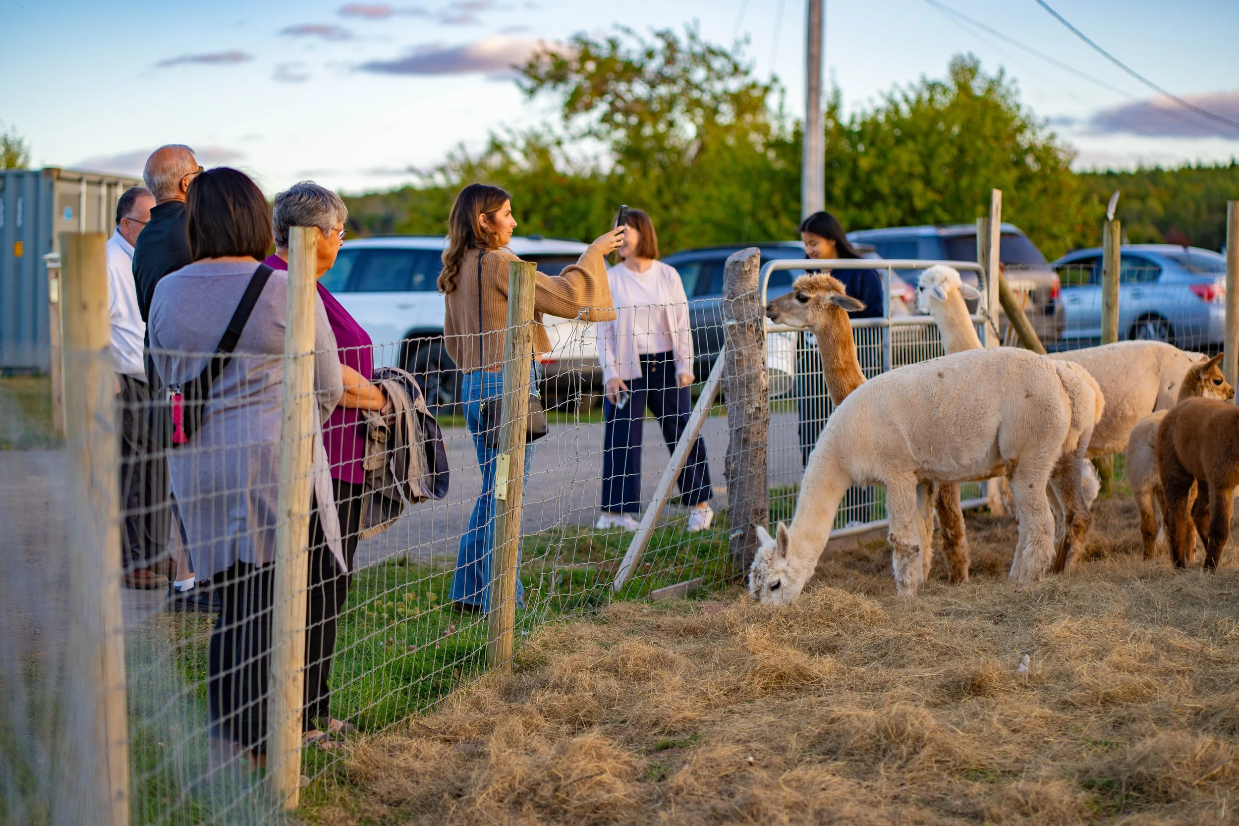 Ravens Rest Retreat Event - People around alpacas.jpg