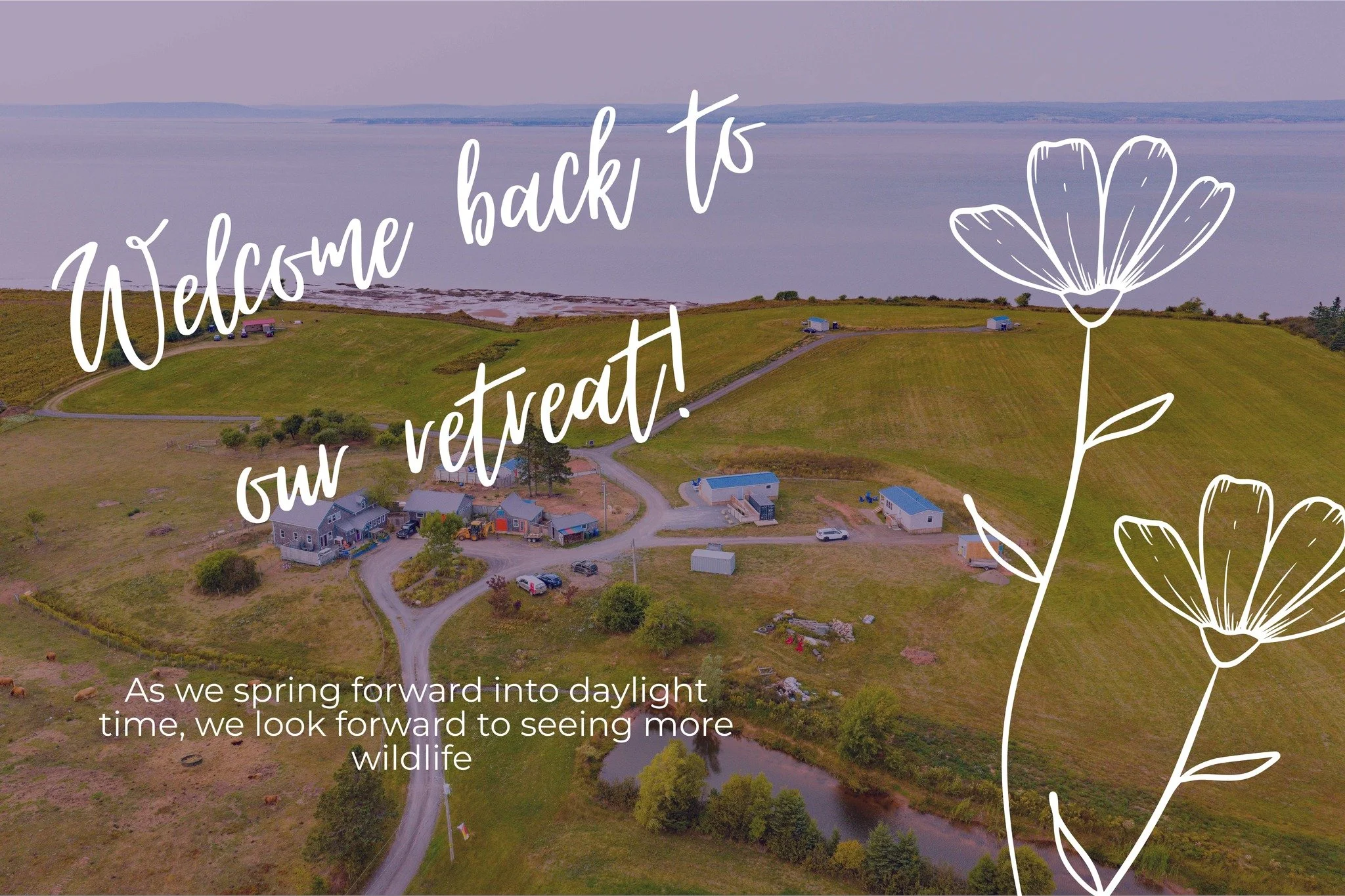 While we temporarily lost an hour of sleep from daylight savings time, it's a sign that spring is coming, and we can look forward to seeing wildlife back at the retreat!!

From various species of birds to aquatic life to honey bees, you can always ex