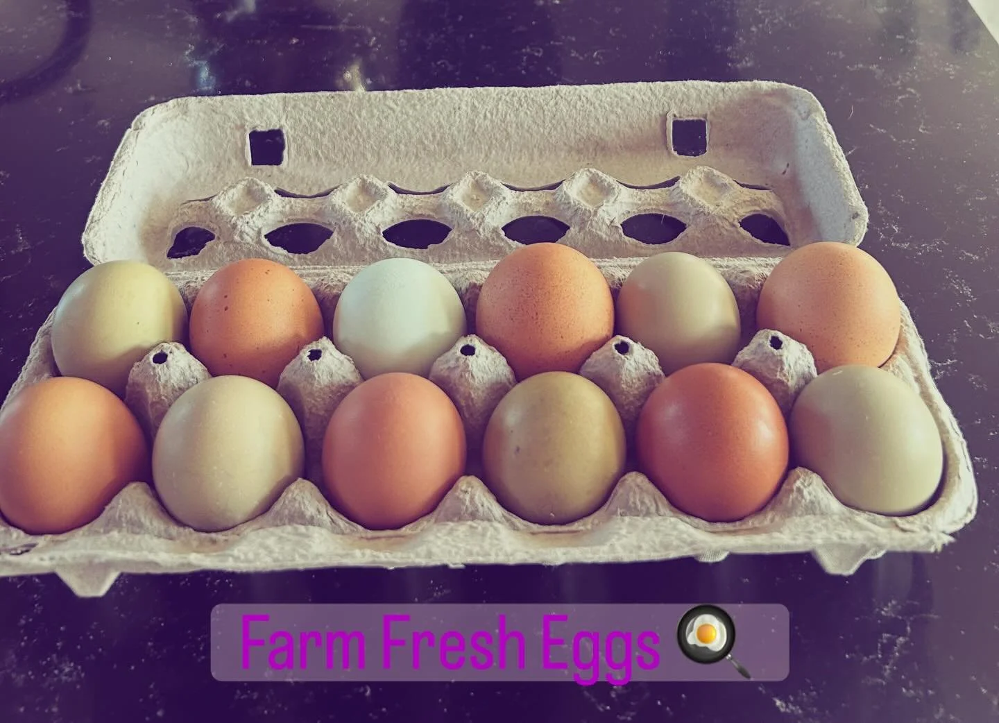 Nothing tastes quite like farm fresh. Straight from our happy hands to our guests plates. 🥚 🐓 
#FarmFreshEggs #LocalFood #NovaScotiaEats