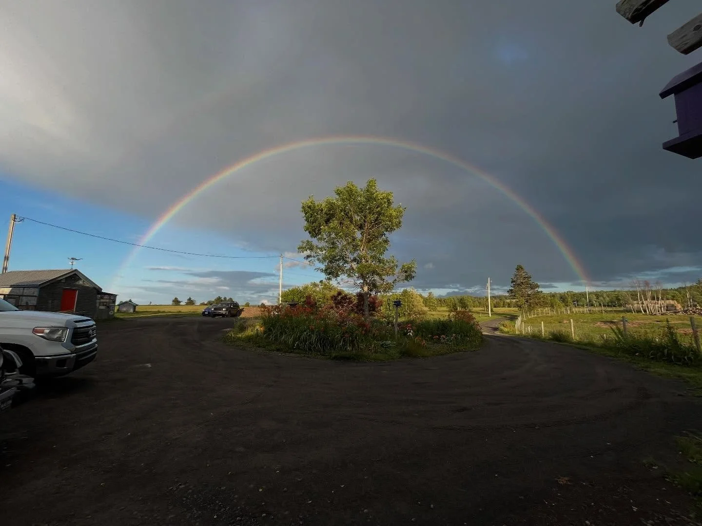 Happy Earth Day!! 

Earth Day is a day to celebrate our planet and remind us of our duty to protect it. 

We must take action against a polluted environment and strive towards a zero-carbon future and safe planet for all. 

At Ravens Rest Retreat, on