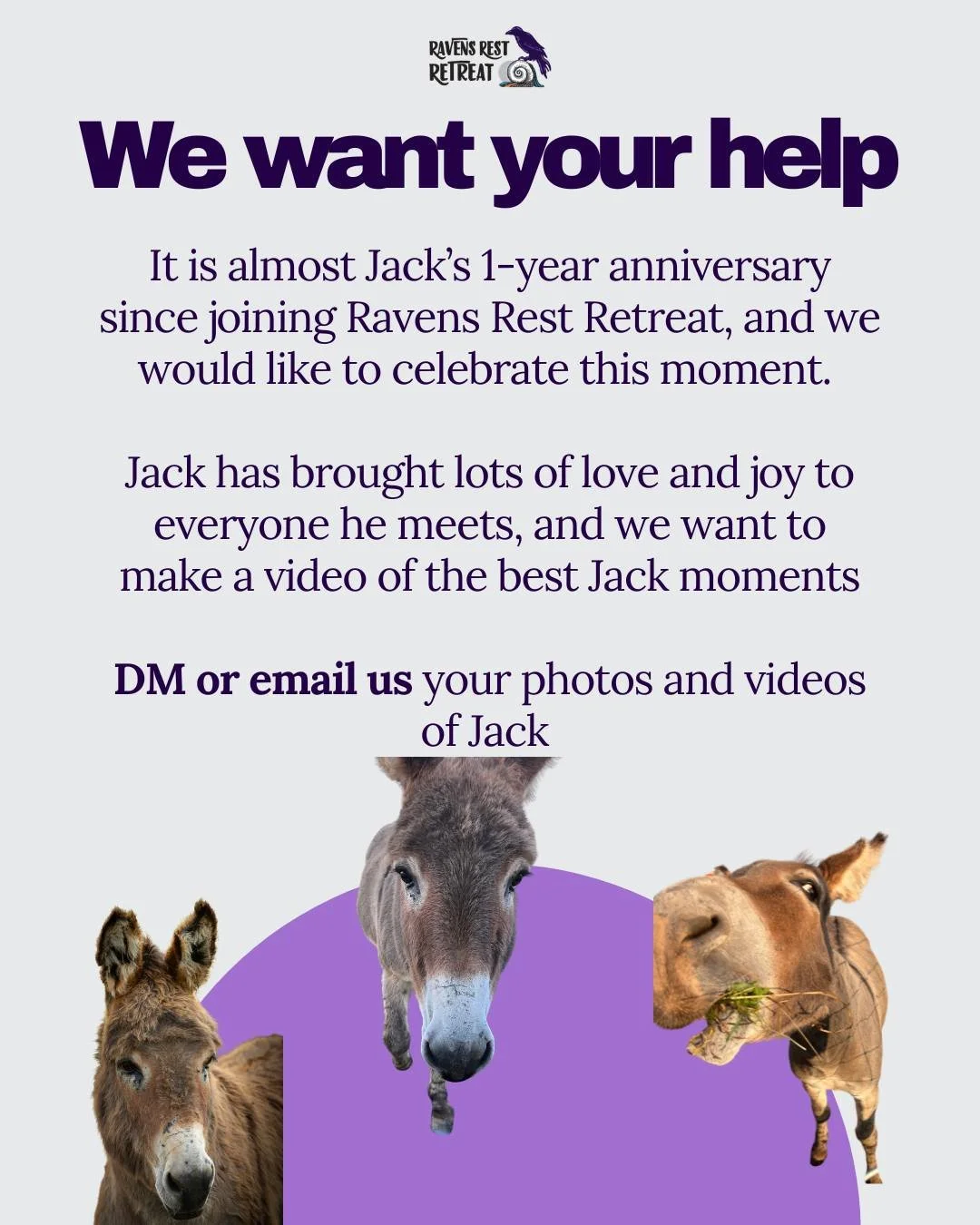 It is almost Jack&rsquo;s 1-year anniversary since joining Ravens Rest Retreat, and we would like to celebrate this moment! We would love your help with this!

Jack has brought lots of love and joy to everyone he meets and provided countless unforget