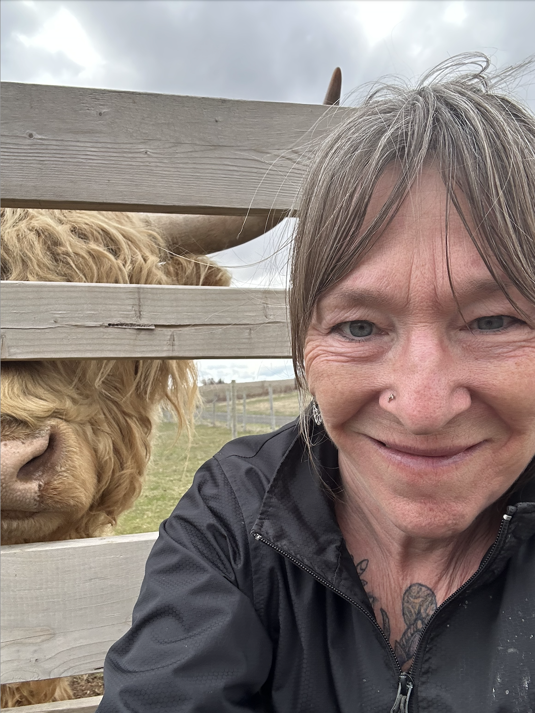 Woman taking a selfie with a highland cow and smiling