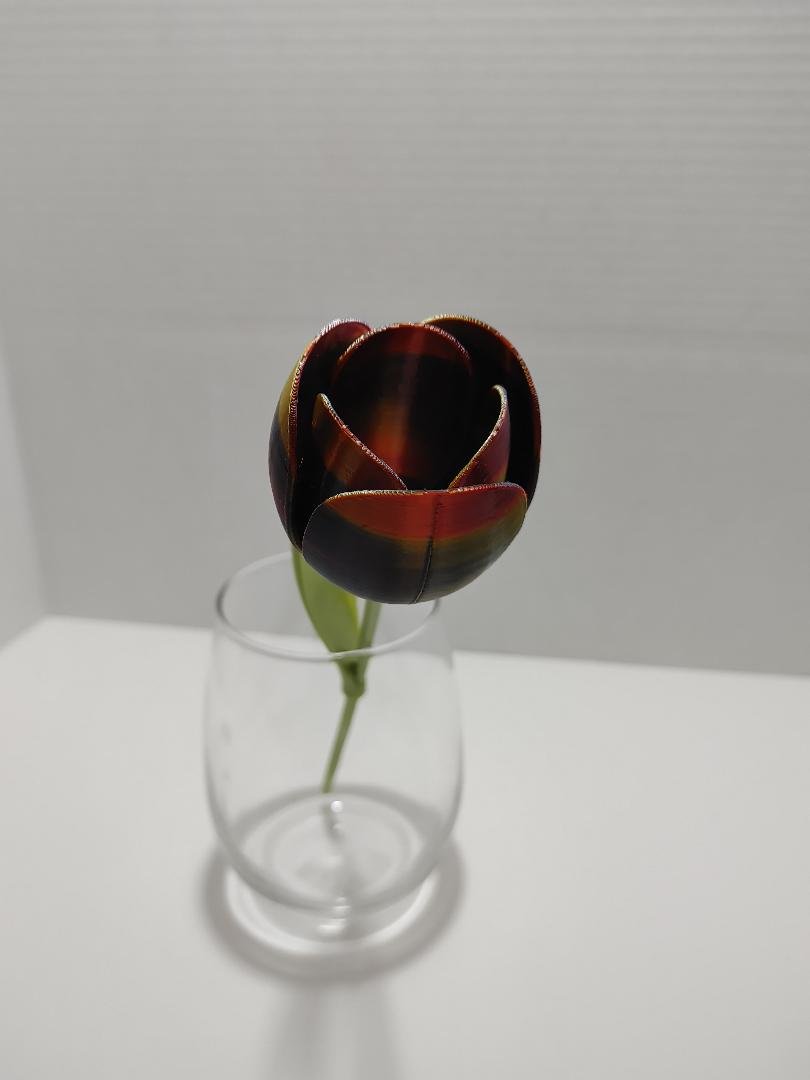 thumbnail (1).jpg