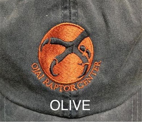Olive.jpeg