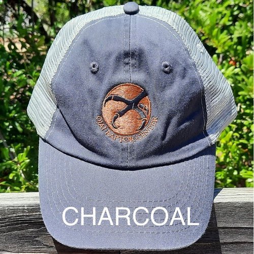 Charcoal+trucker.jpeg