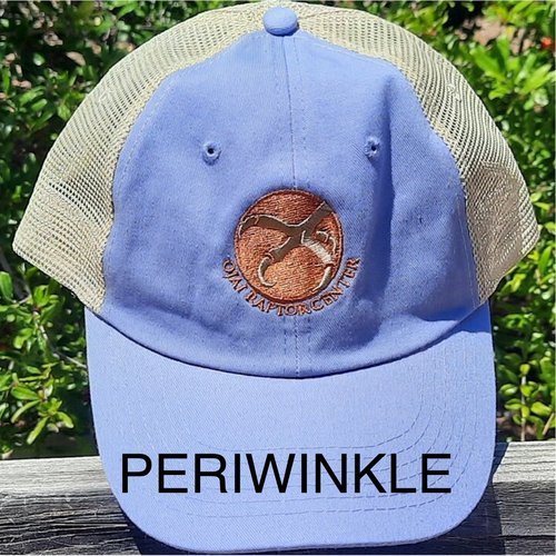 Periwinkle+trucker.jpeg