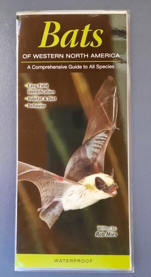 Bats.jpeg