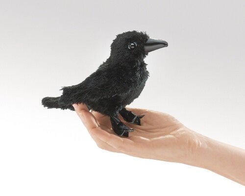 Raven.jpeg