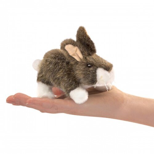 Cottontail.jpeg
